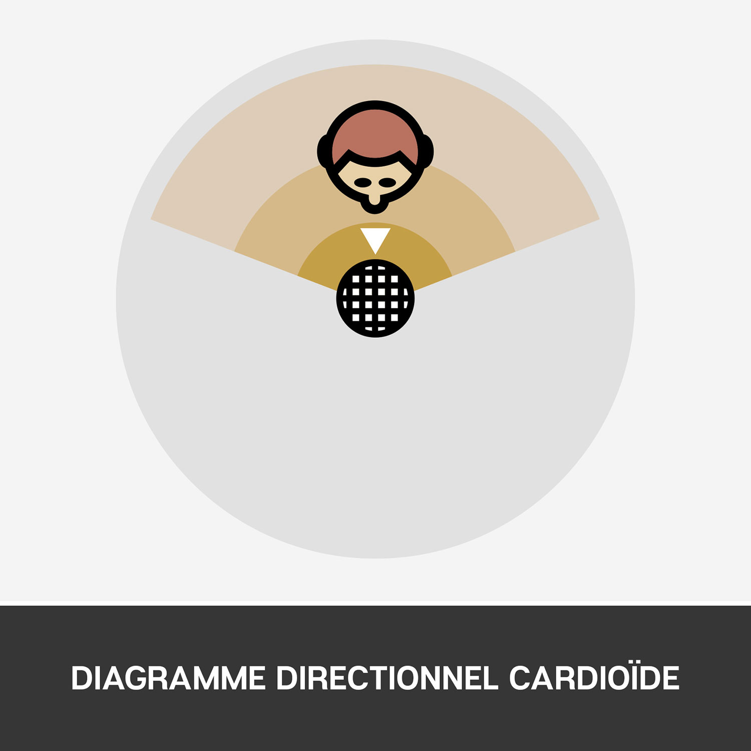 Microphone USB SnowBall iCE de Blue Microphones - Noir