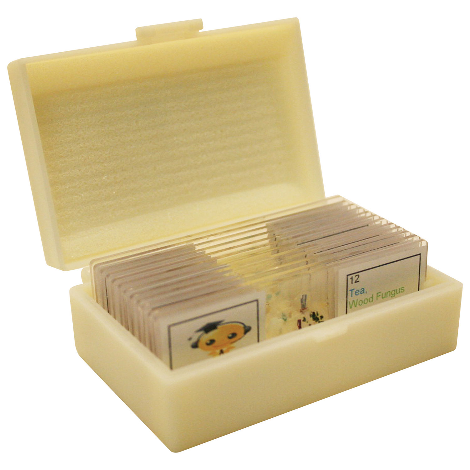 Ensemble de lames préparées en plastique pour débutants de Walter Products - 12 pièces