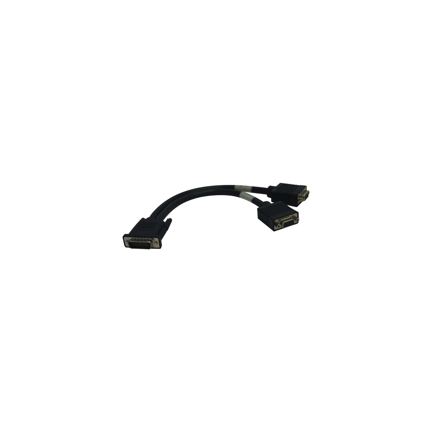 Tripp Lite 1ft DMS-59 to 2x VGA Splitter Cable M/Fx2