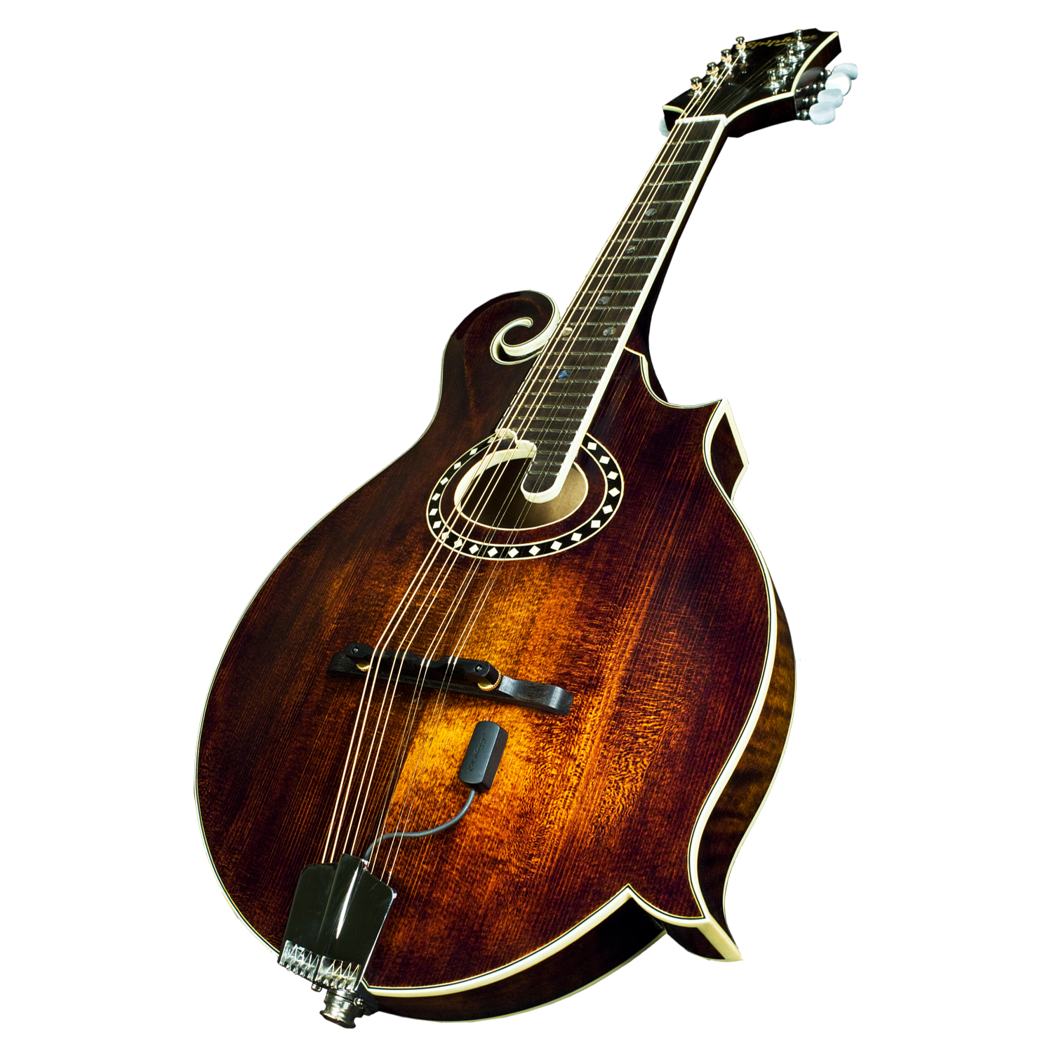 L.R Baggs Micro Mandoline Radius