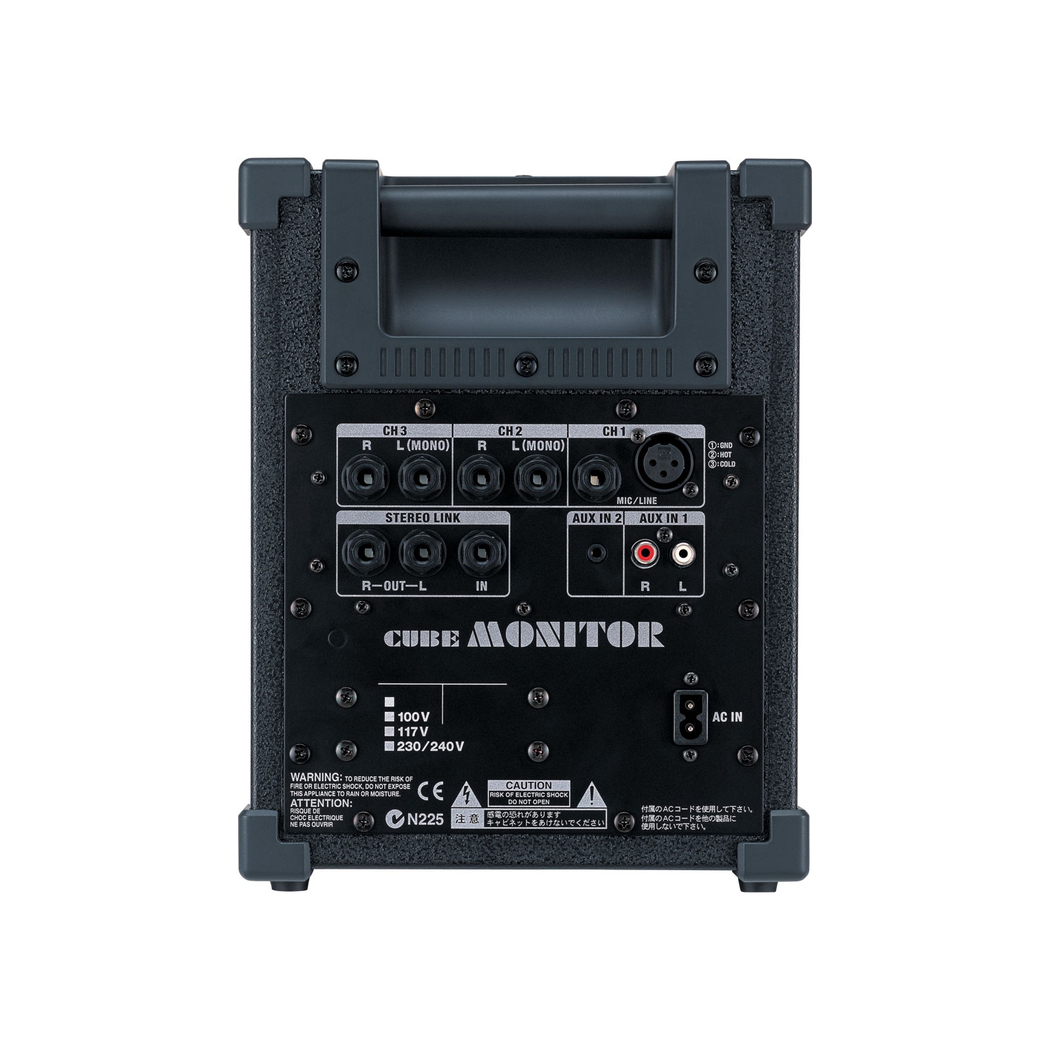 Roland Moniteur CUBE