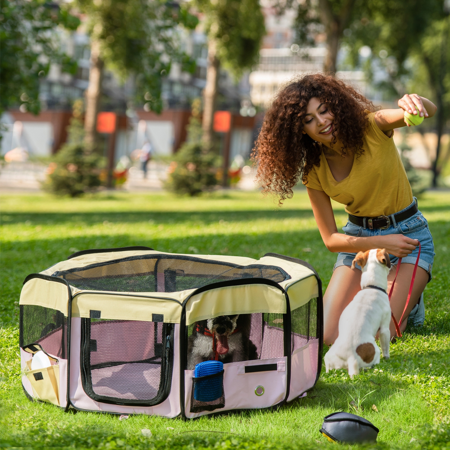 PawHut Fabric Pet Dog Cat Puppy Playpen, Rabbit Guinea Pig Play Pen Portable Foldable, Hexagon, S