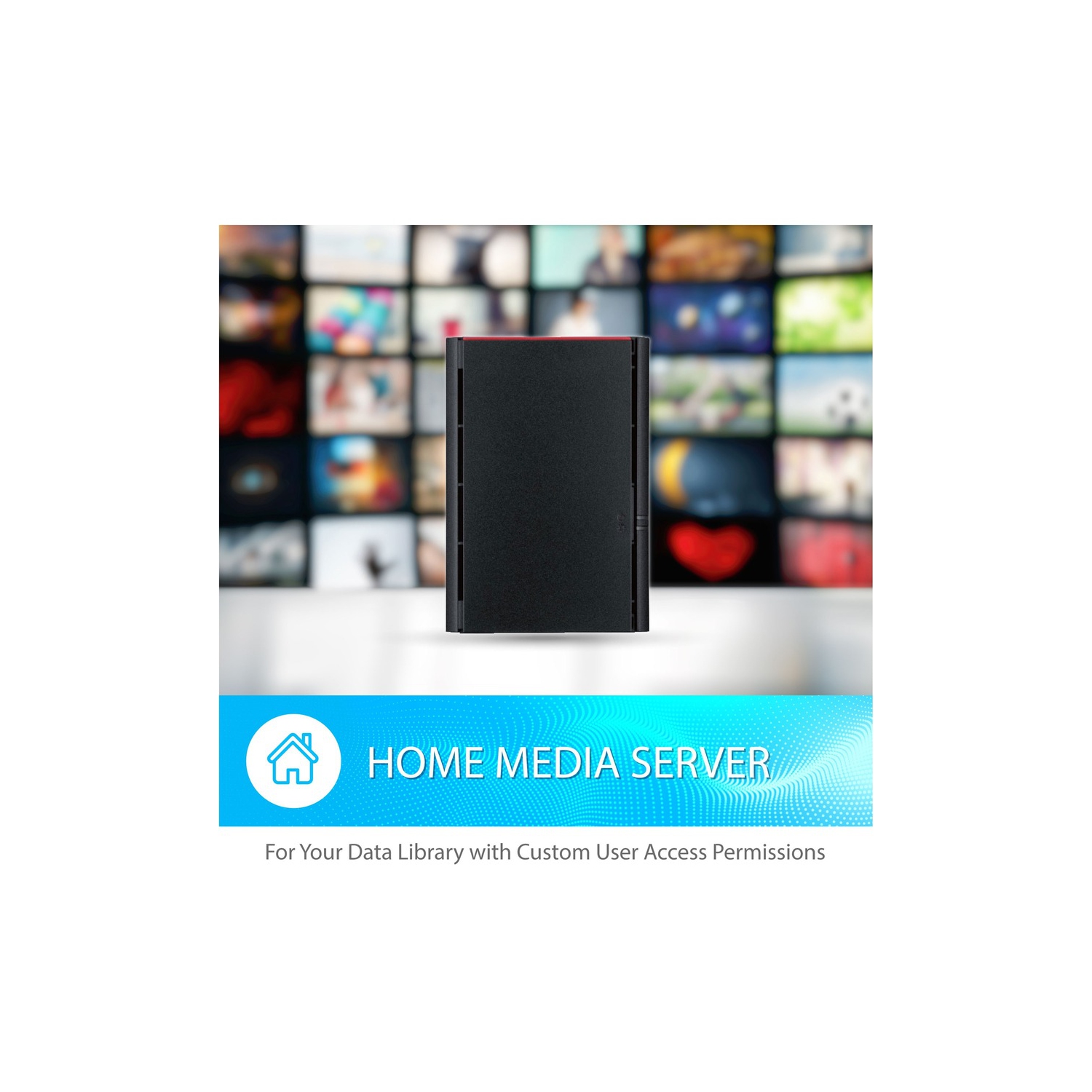 Buffalo 220 LinkStation 220 Network Attached Storage