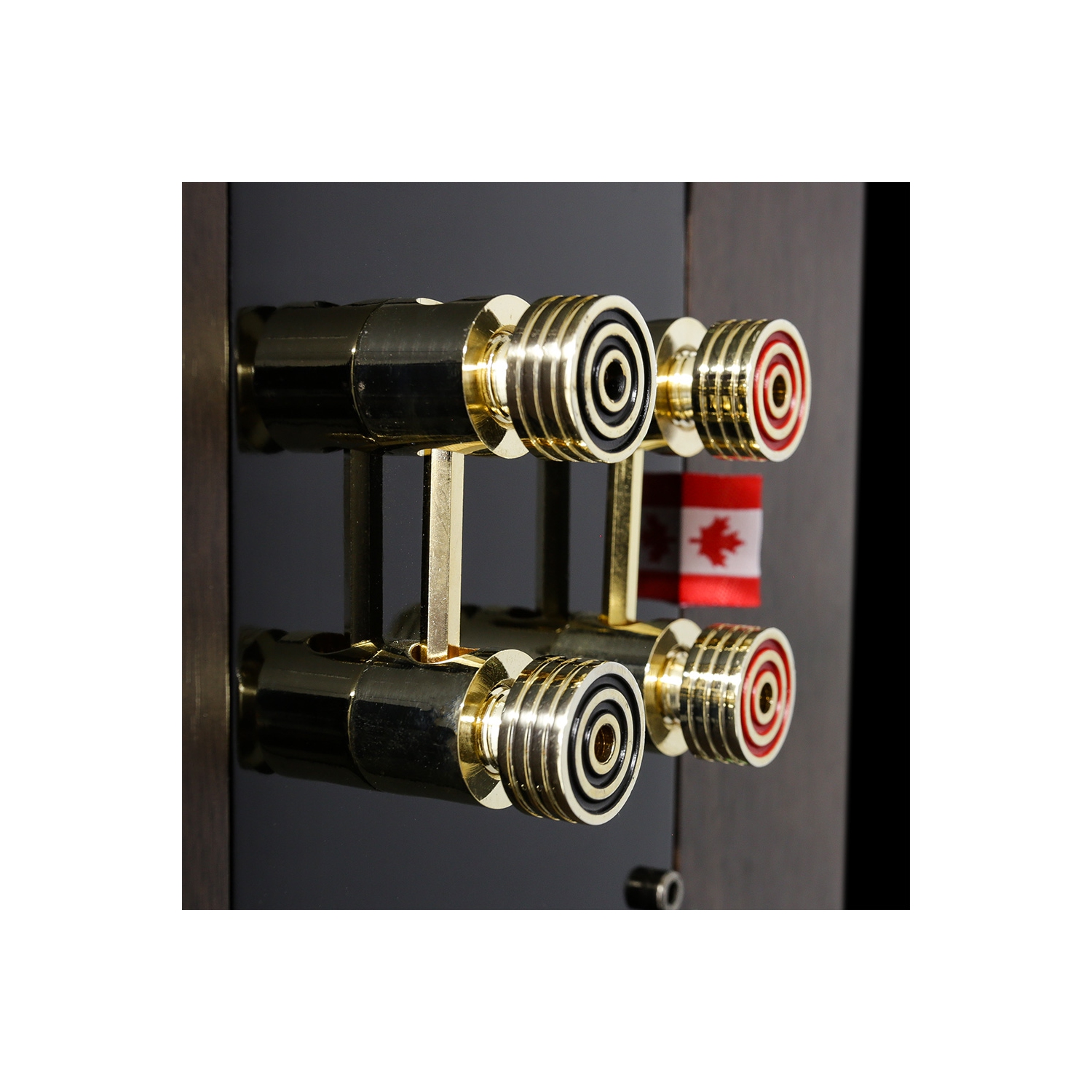 Système de cinéma maison ambiophonique 5.0 canaux Signature HiFi de Fluance - haut-parleurs colonne, centre et arrière