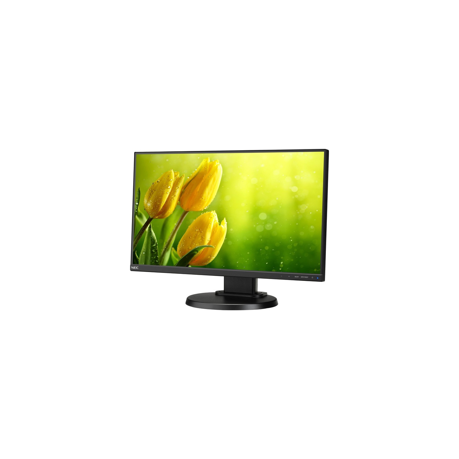 NEC Display MultiSync E221N-BK 22" LED LCD Monitor - 16:9 - 6 ms