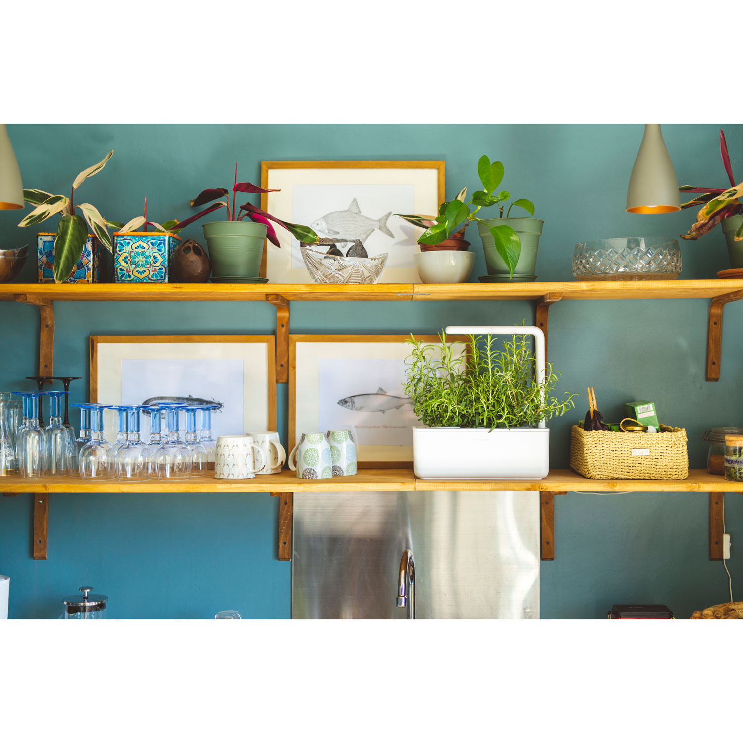 Click and Grow Smart Indoor Garden with Basil Seed Capsule Refill - 3 Pack - White