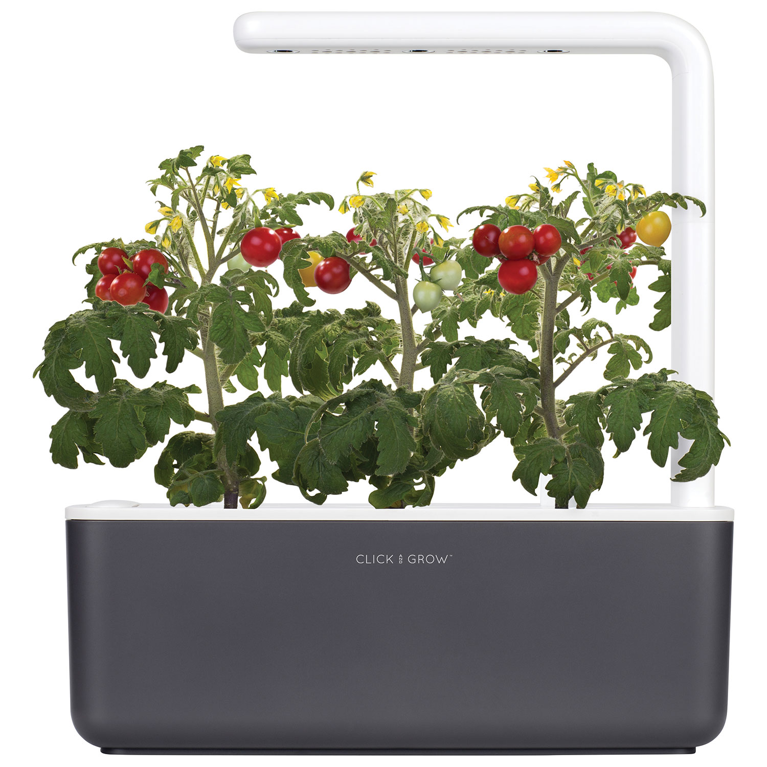 Jardin intérieur intelligent/capsule de basilic de Click & Grow - Paquet de 3 - Gris foncé