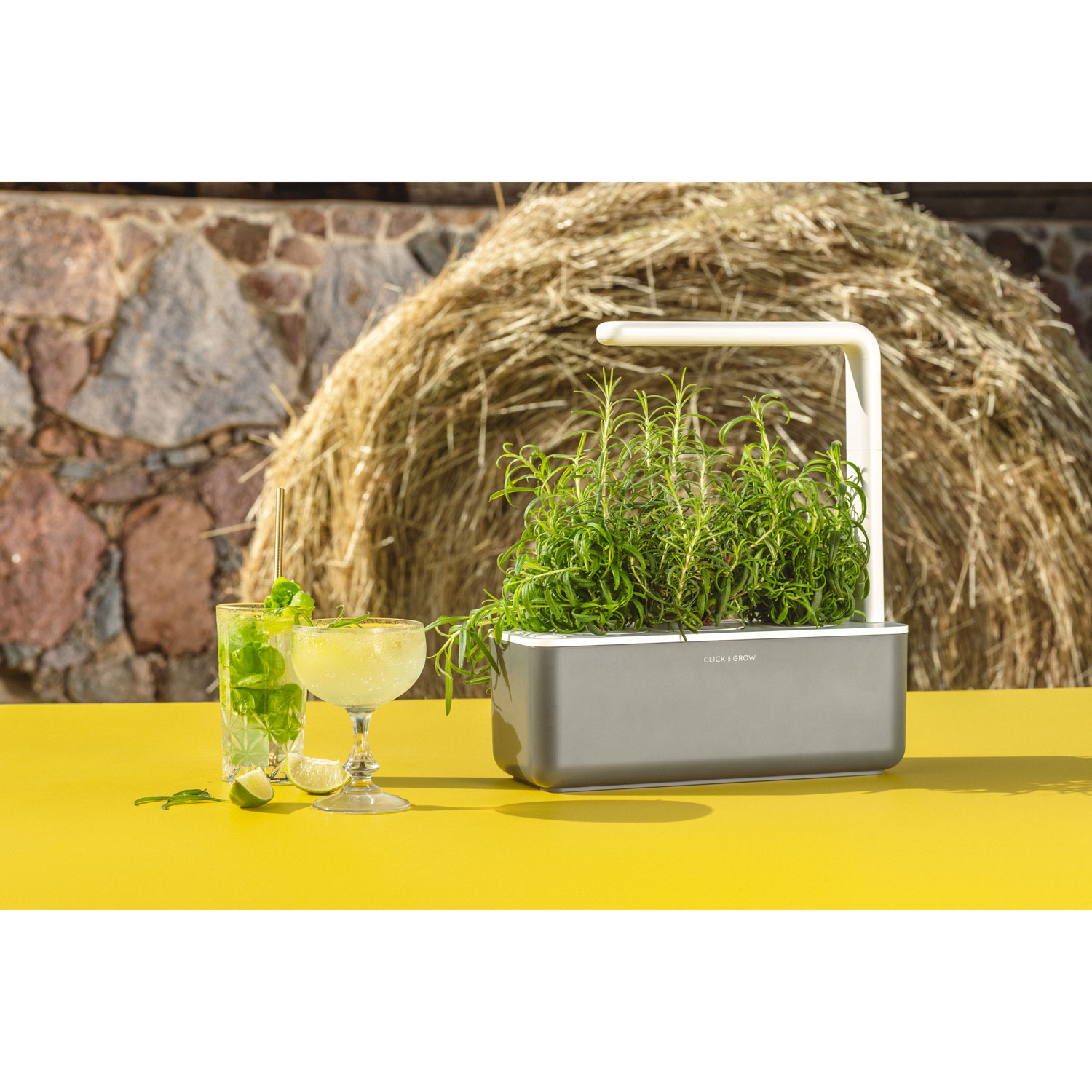 Jardin intérieur intelligent/capsule de basilic de Click & Grow - Paquet de 3 - Gris foncé