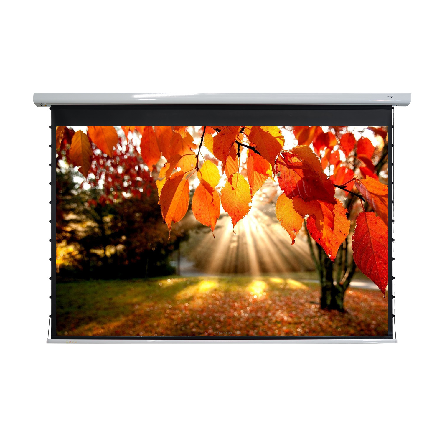 Elunevision 120" 16:9 Titan Tab-Tensioned Motorized Projector Screen
