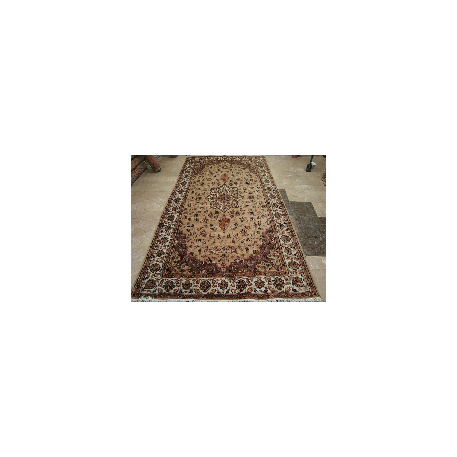 Beige Tan Floral Exclusive Rectangle Area Rug Hand Knotted Wool Silk Carpet'