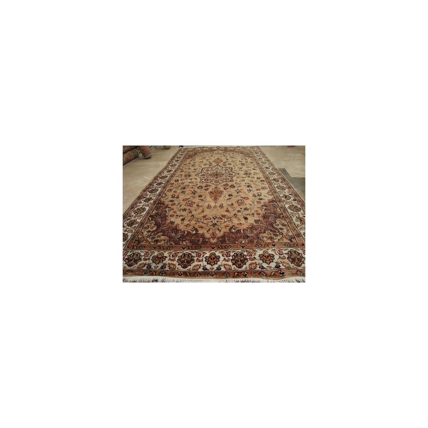 Beige Tan Floral Exclusive Rectangle Area Rug Hand Knotted Wool Silk Carpet'