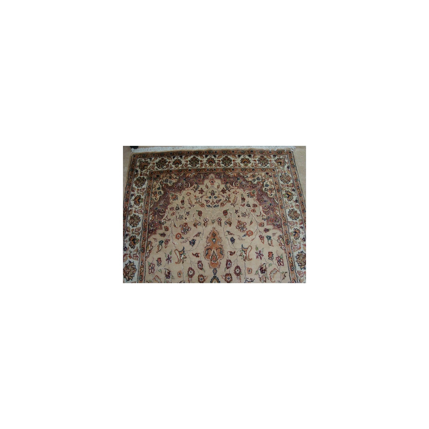 Beige Tan Floral Exclusive Rectangle Area Rug Hand Knotted Wool Silk Carpet'