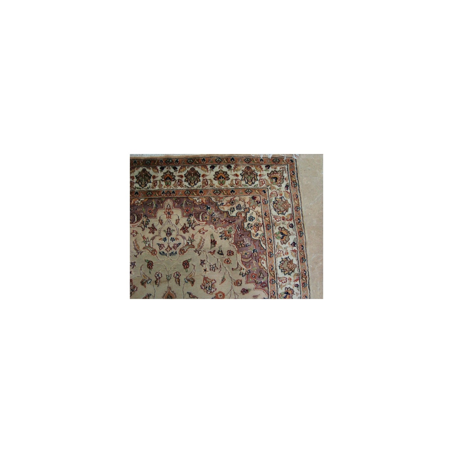 Beige Tan Floral Exclusive Rectangle Area Rug Hand Knotted Wool Silk Carpet'