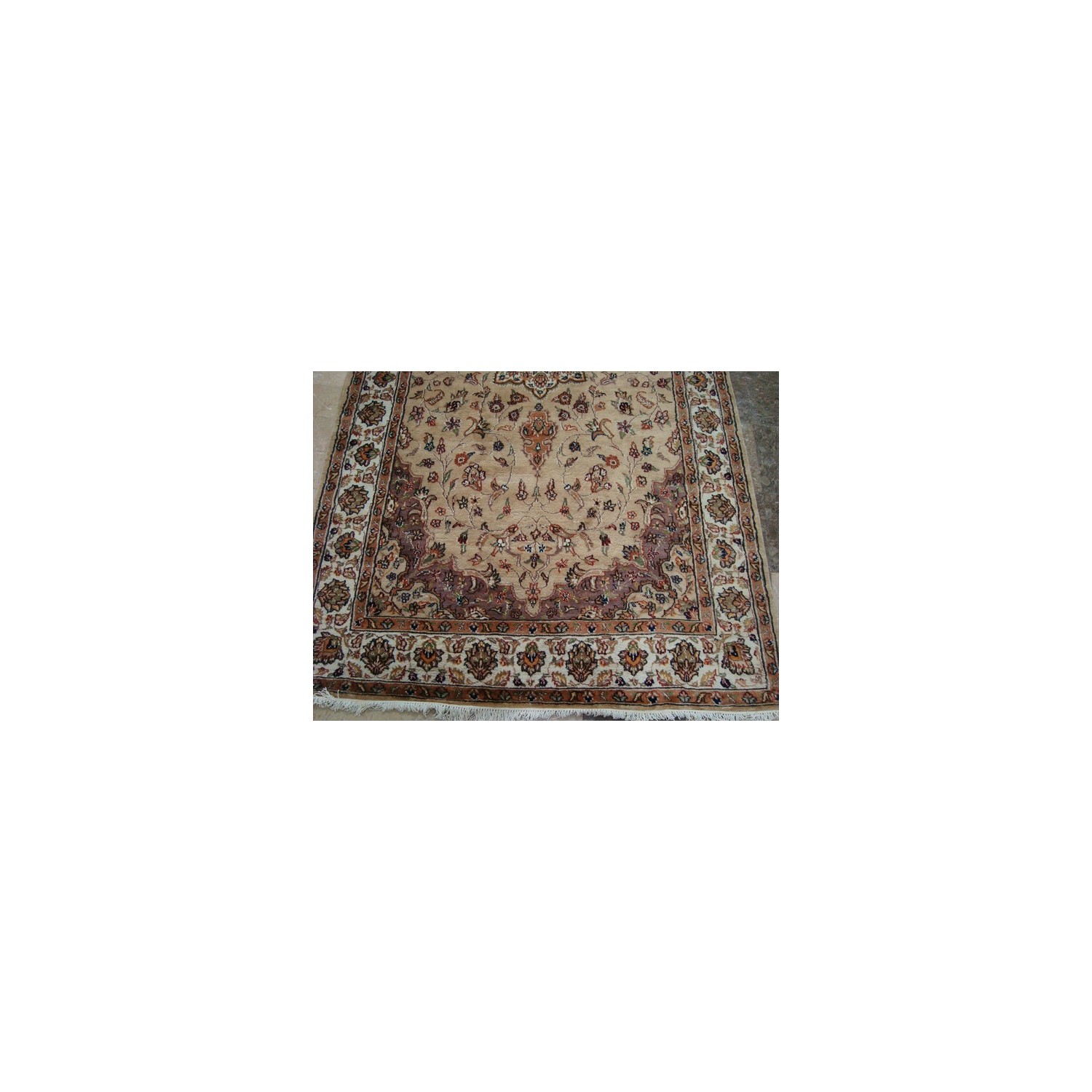 Beige Tan Floral Exclusive Rectangle Area Rug Hand Knotted Wool Silk Carpet'