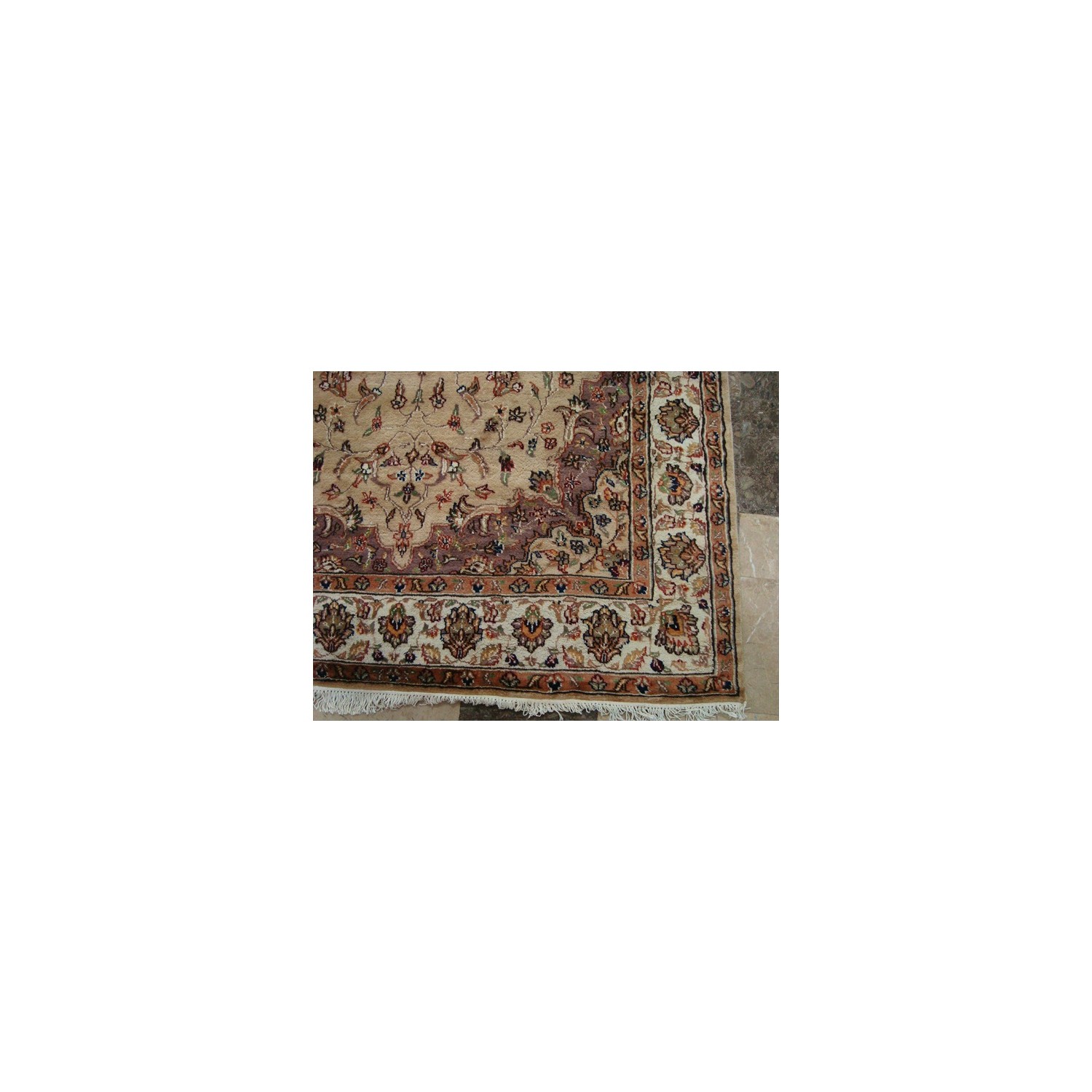 Beige Tan Floral Exclusive Rectangle Area Rug Hand Knotted Wool Silk Carpet'