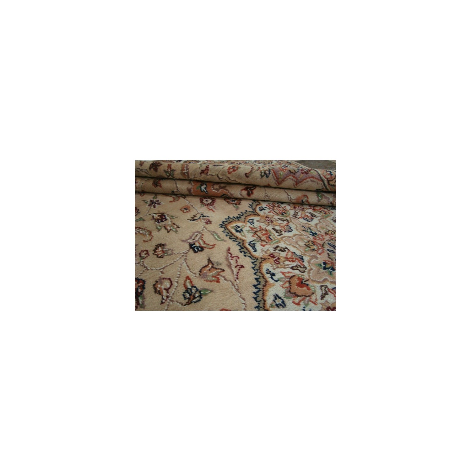 Beige Tan Floral Exclusive Rectangle Area Rug Hand Knotted Wool Silk Carpet'