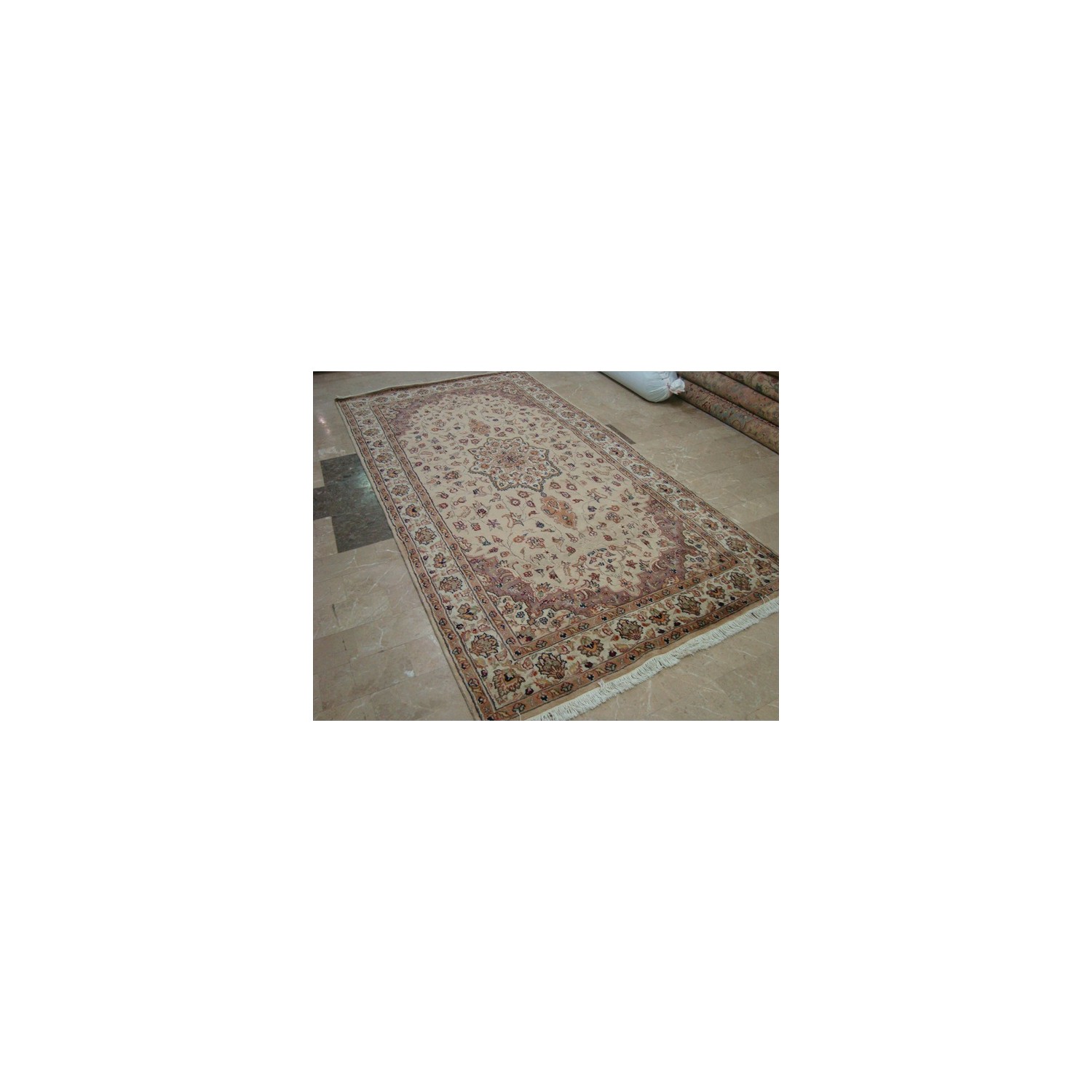 Beige Tan Floral Exclusive Rectangle Area Rug Hand Knotted Wool Silk Carpet'