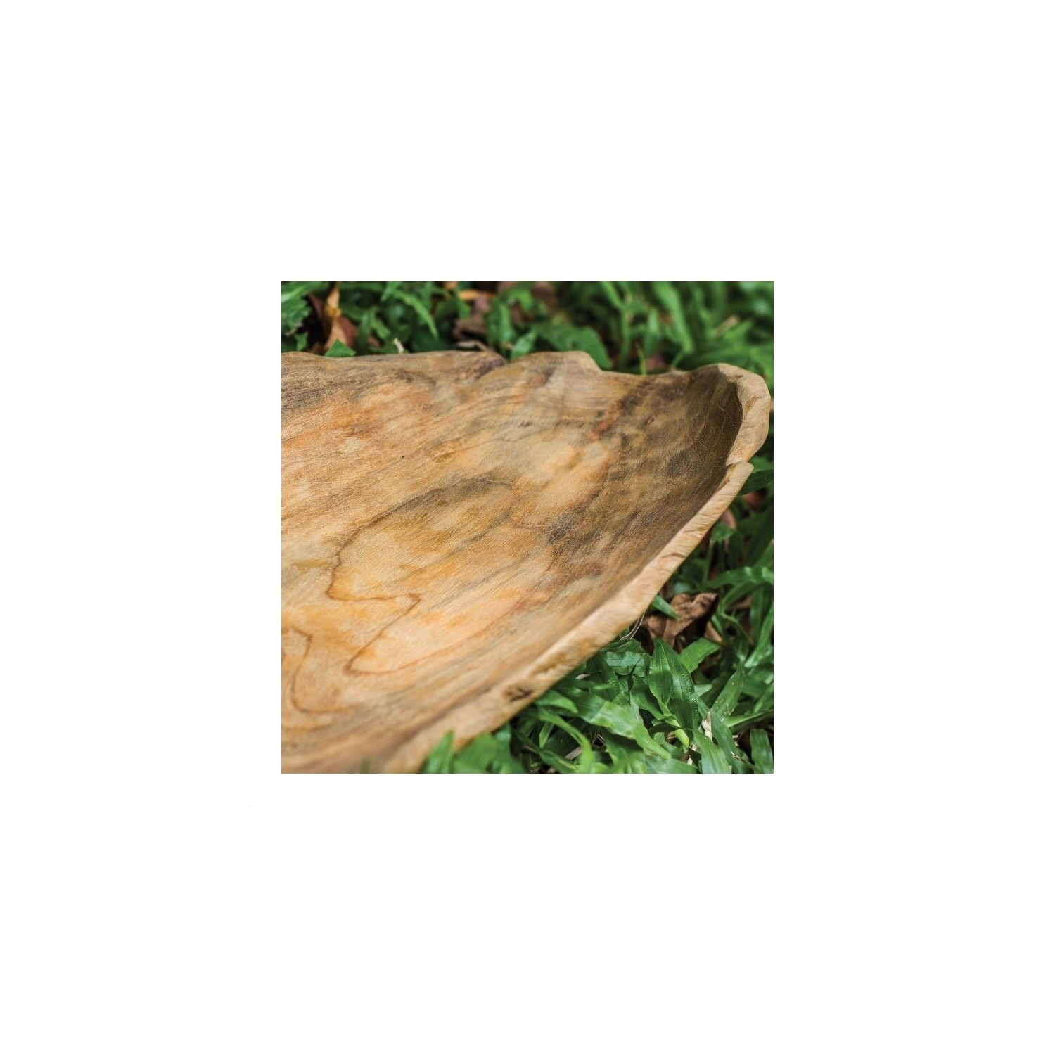 Bol à feuilles en teck 17085 d'Uttermore