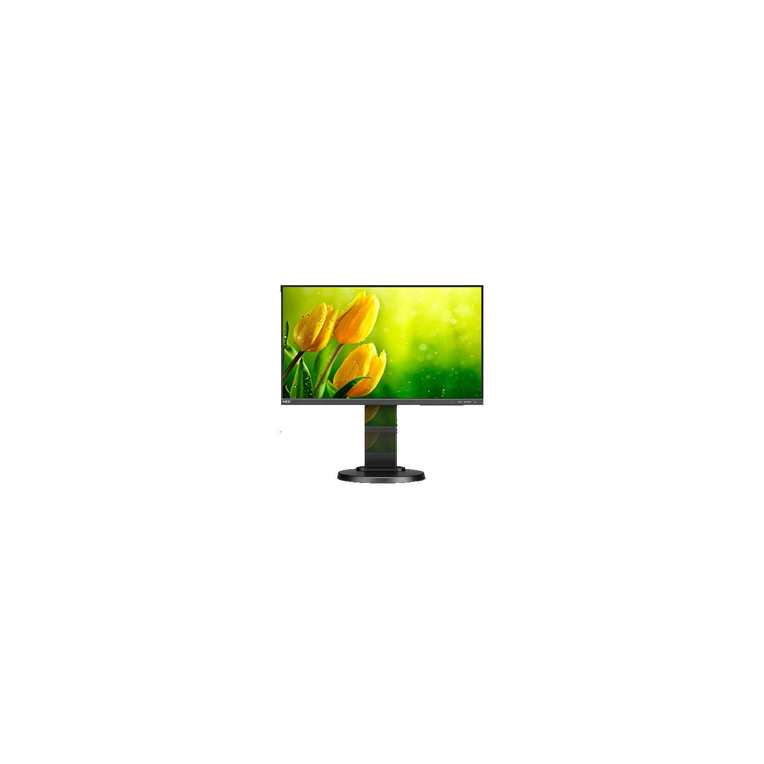 NEC 22" FHD 75 Hz 6 ms GTG WLED Monitor - Black -