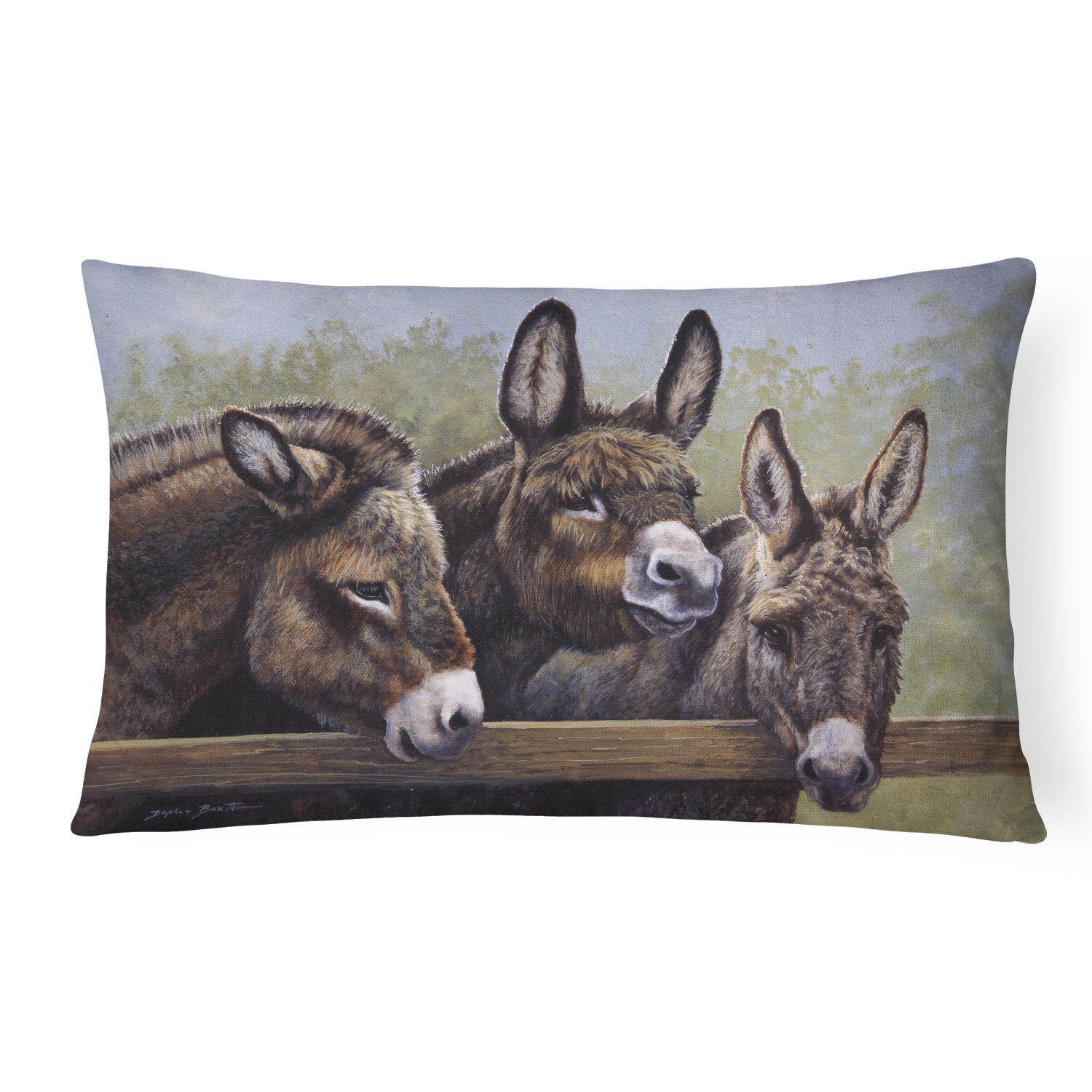 Carolines Treasures BDBA0235PW1216 Donkeys by Daphne Baxter Fabric Decorative Pillow