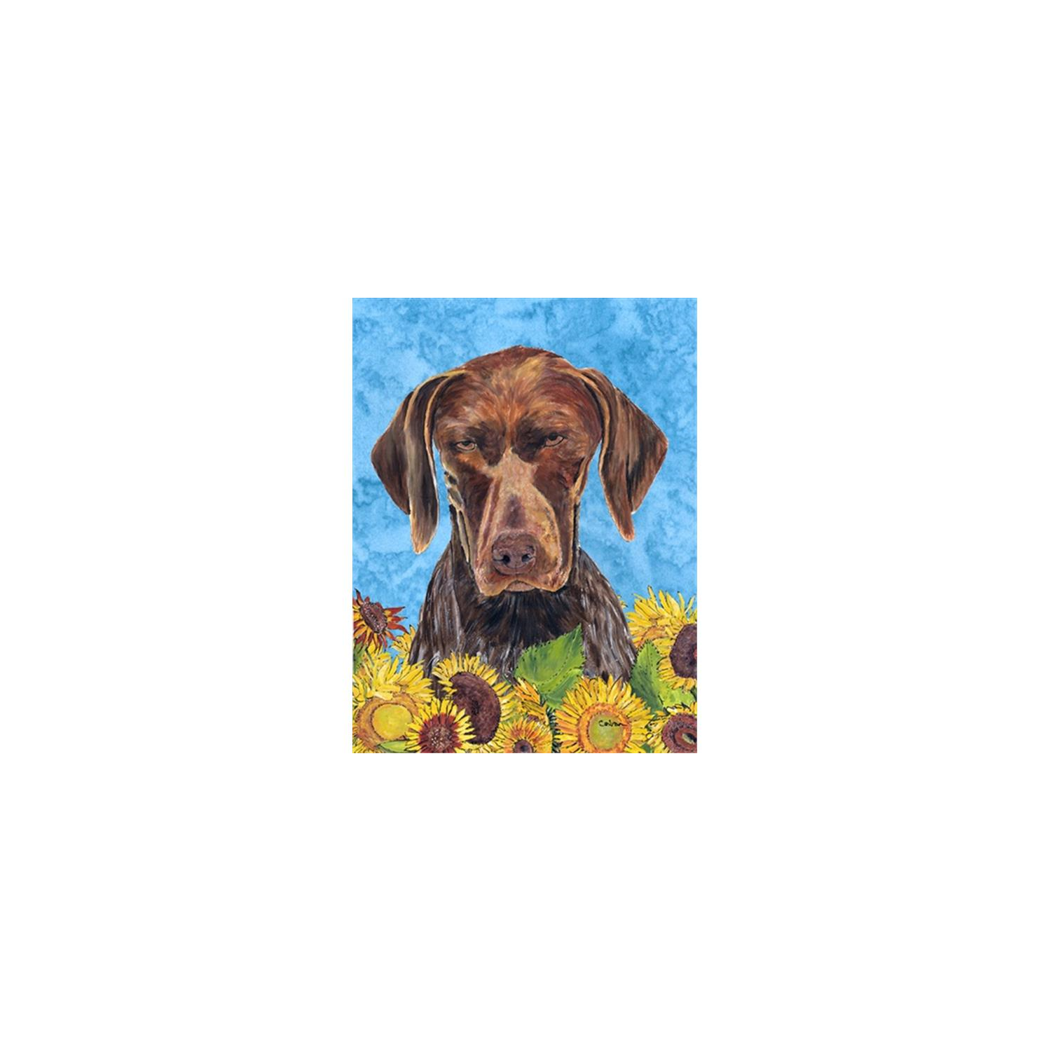 Carolines Treasures SC9053CHF 28 x 40 in. German Shorthaired Pointer Flag Canvas House Size