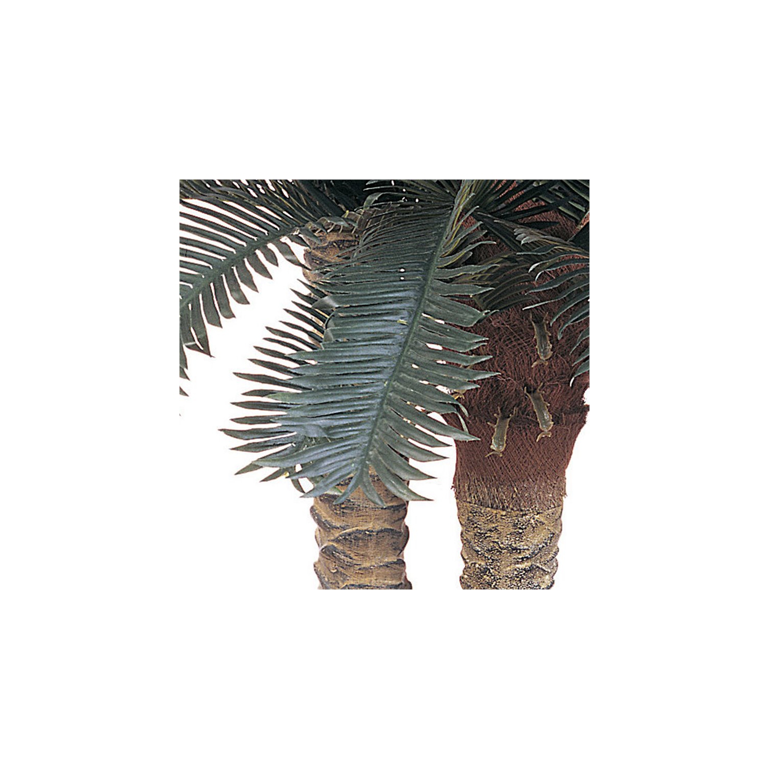 Arbre en soie en pot à double paume de 72 et 48 po de Sago, vert/brun