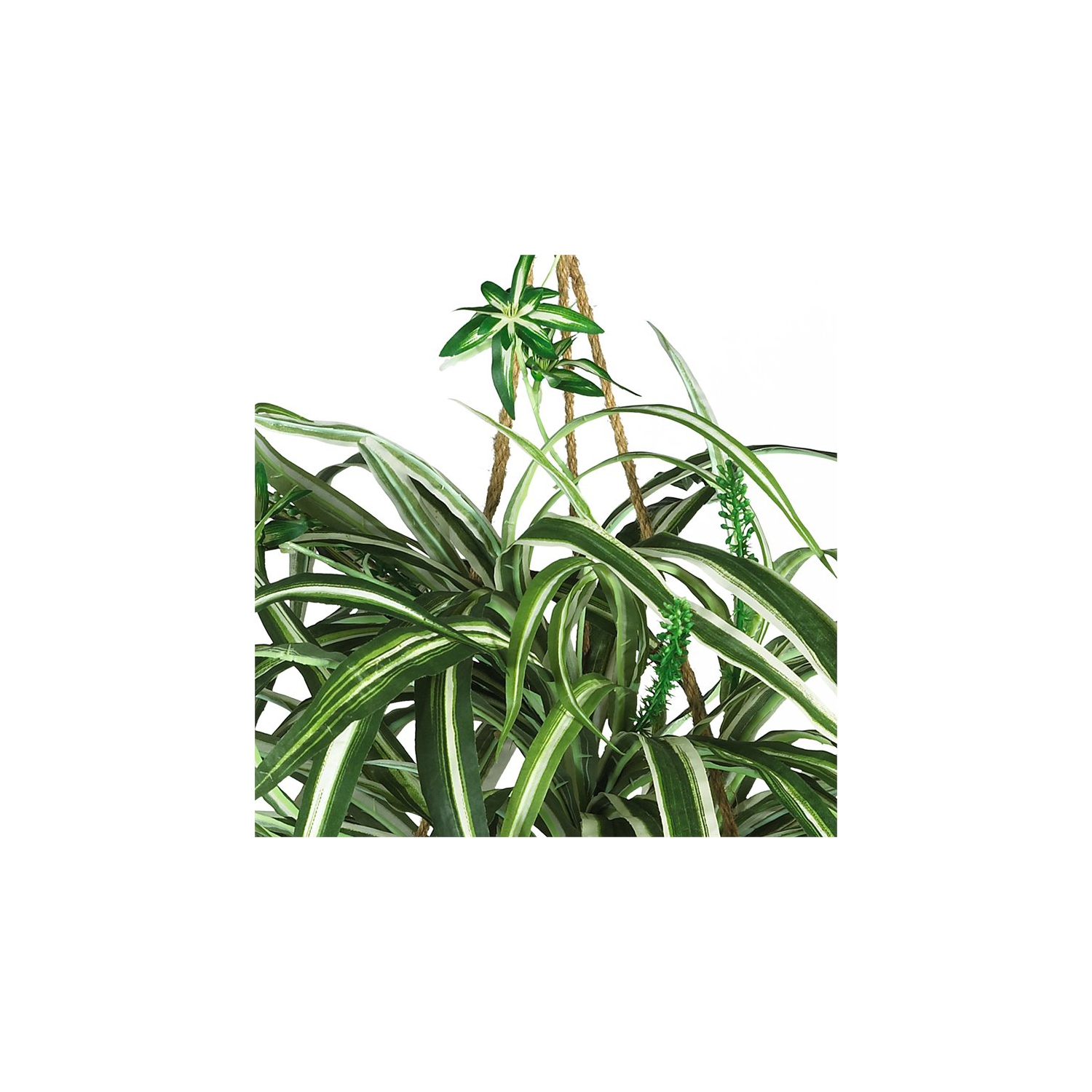 Plante en soie à suspendre à motif de Spider presque naturel, vert/brun