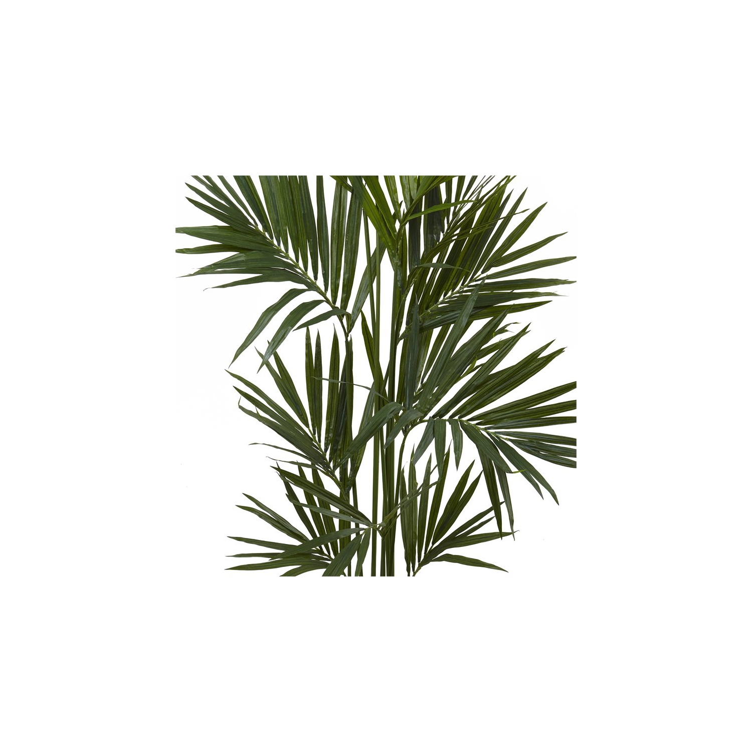 Nearly Natural 84" Kentia Palm Silk Tree with 230 Palm Leaves in Green/Black