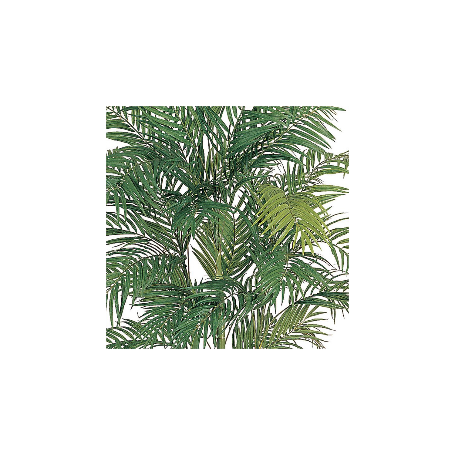 Nearly Natural 84" Areca Silk Palm Tree with 1816 Leaves in Green/Black