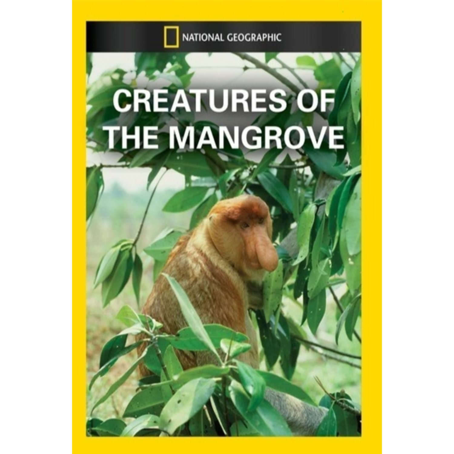 Creatures of the Mangrove - - [DVD]