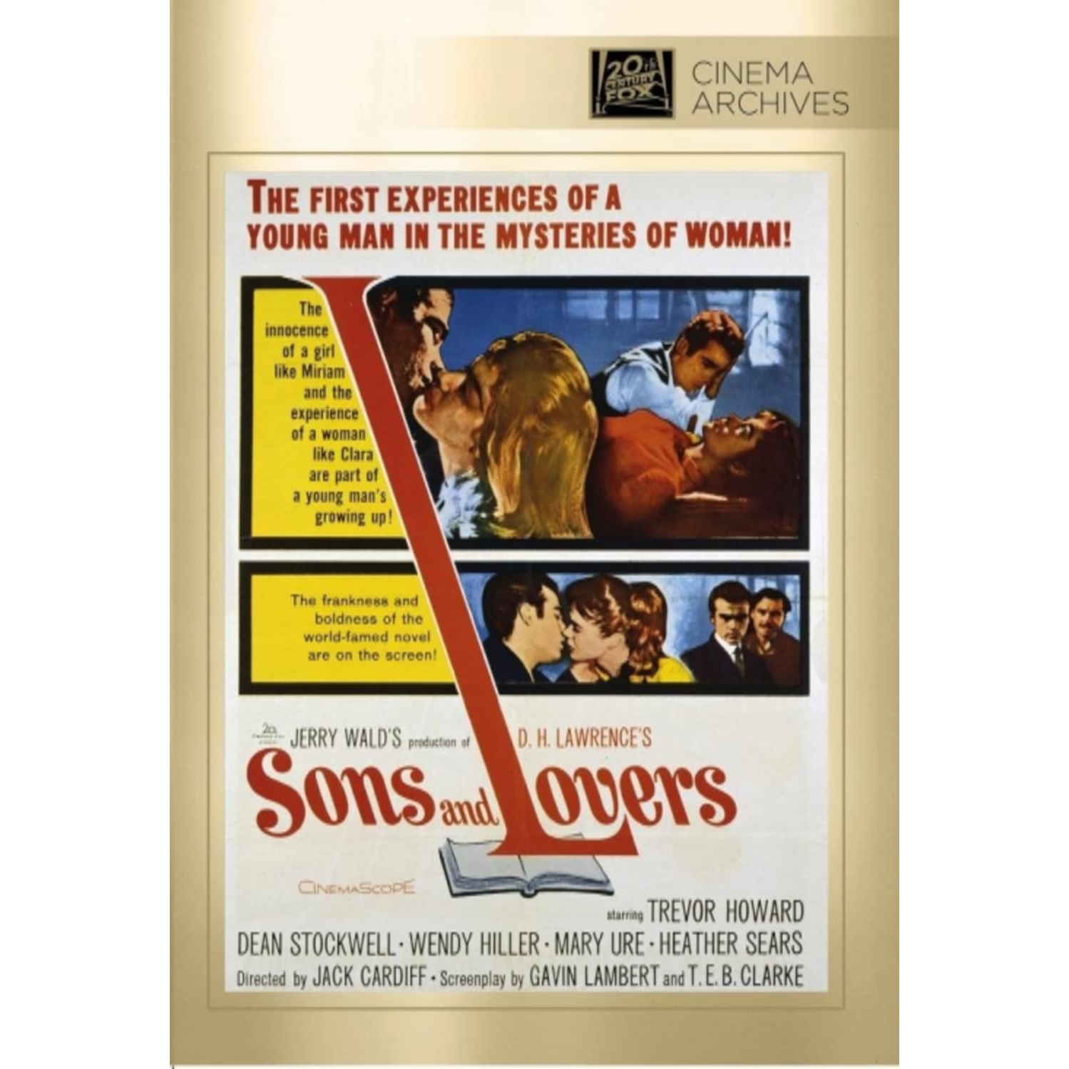 Sons and Lovers - - [DVD]