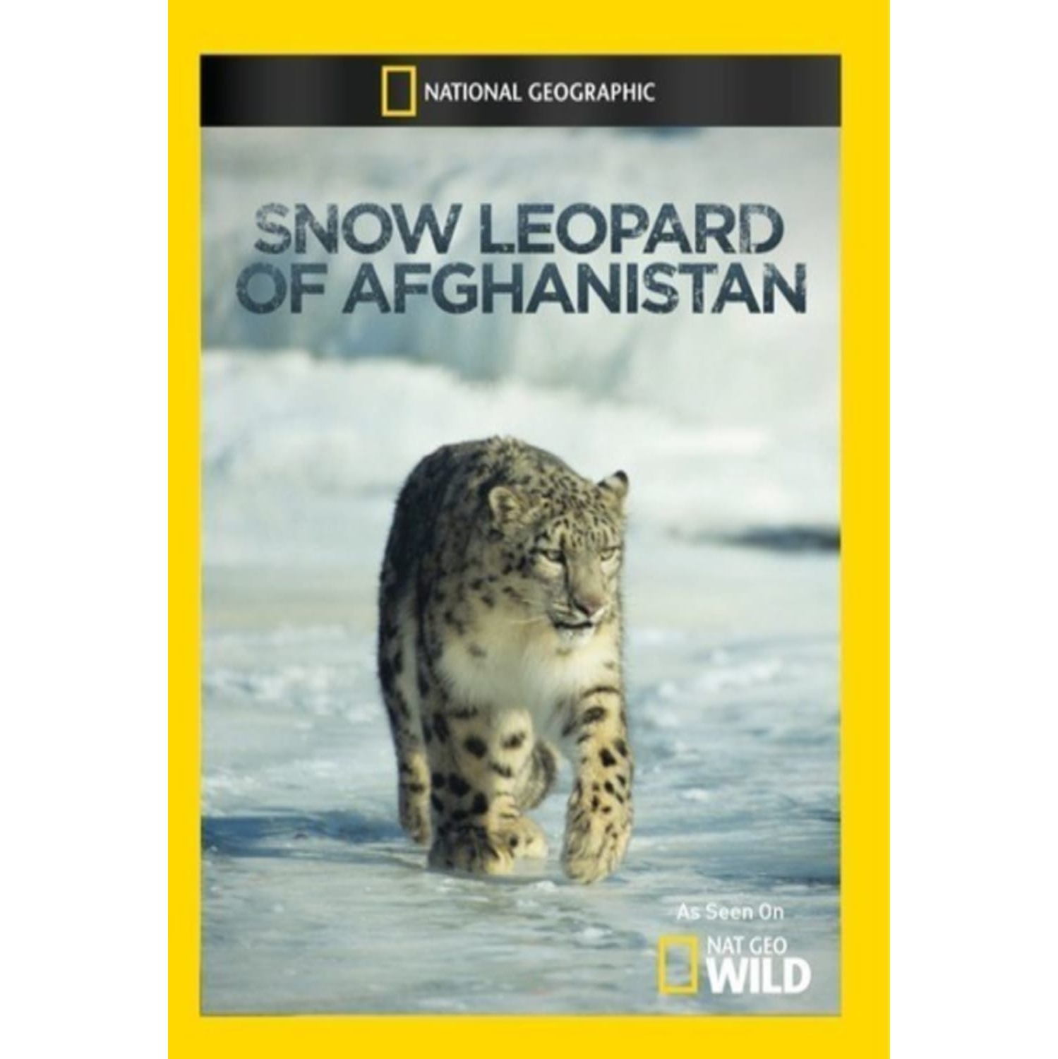 Snow Leopard of Afghanistan - - [DVD]