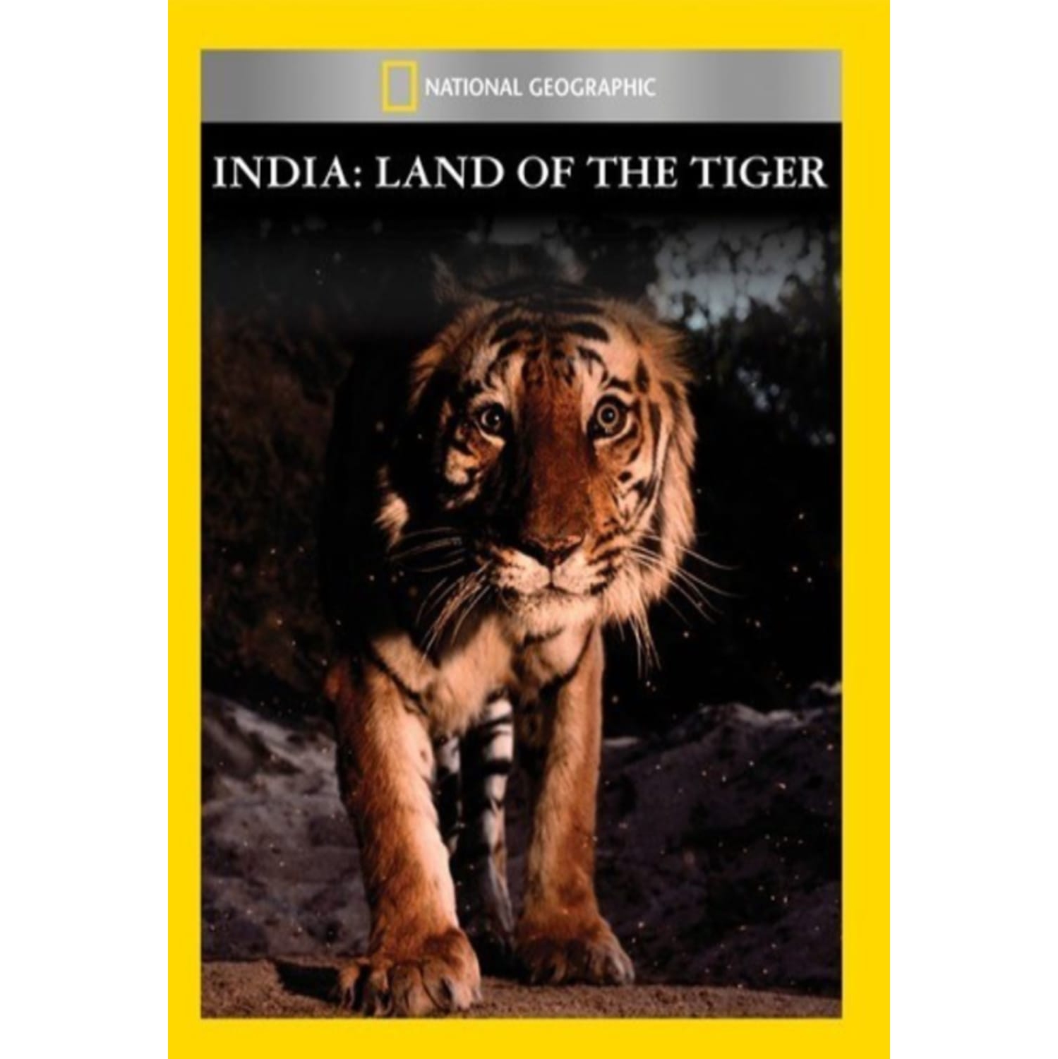 India: Land of the Tiger