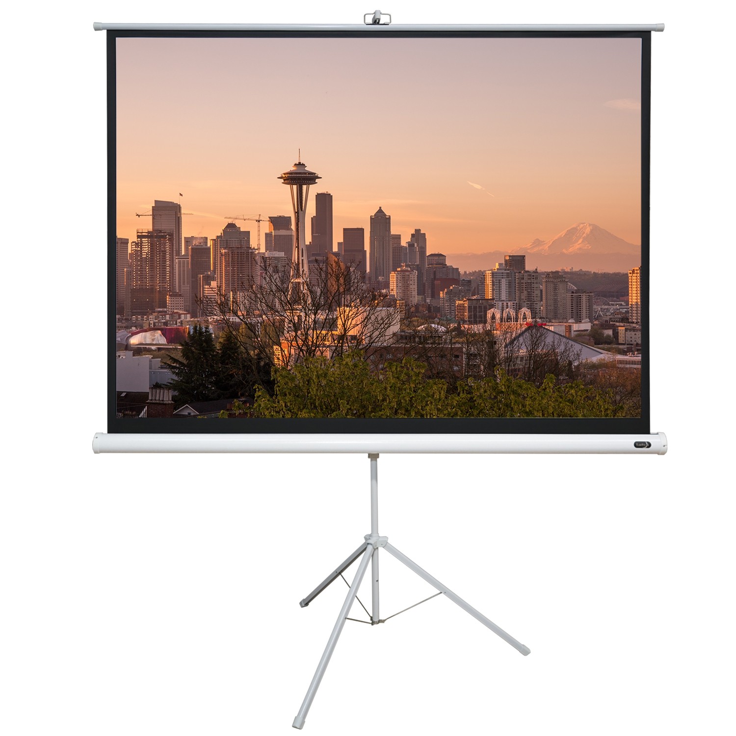 EluneVision 70" X 70" 1:1 Portable Tripod Projector Screen