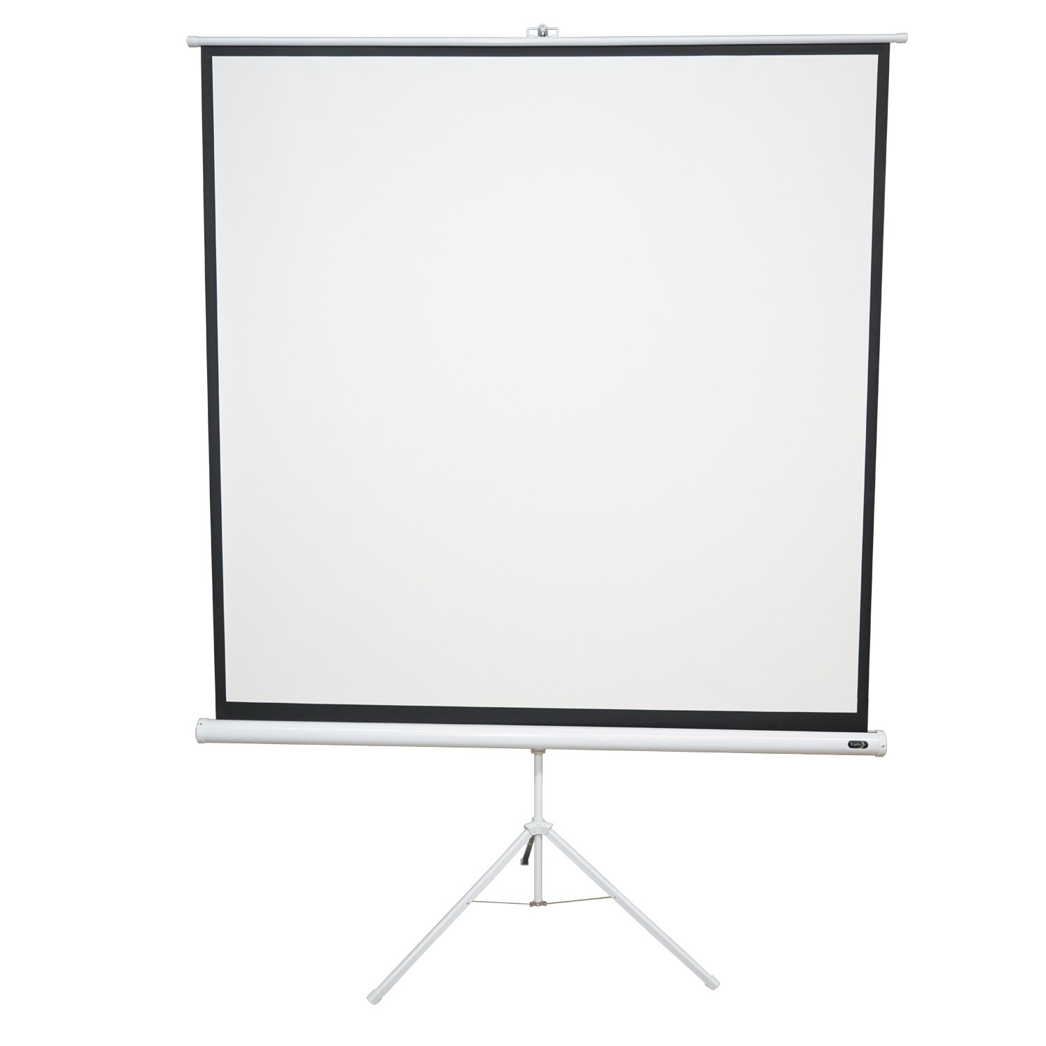 EluneVision 70" X 70" 1:1 Portable Tripod Projector Screen