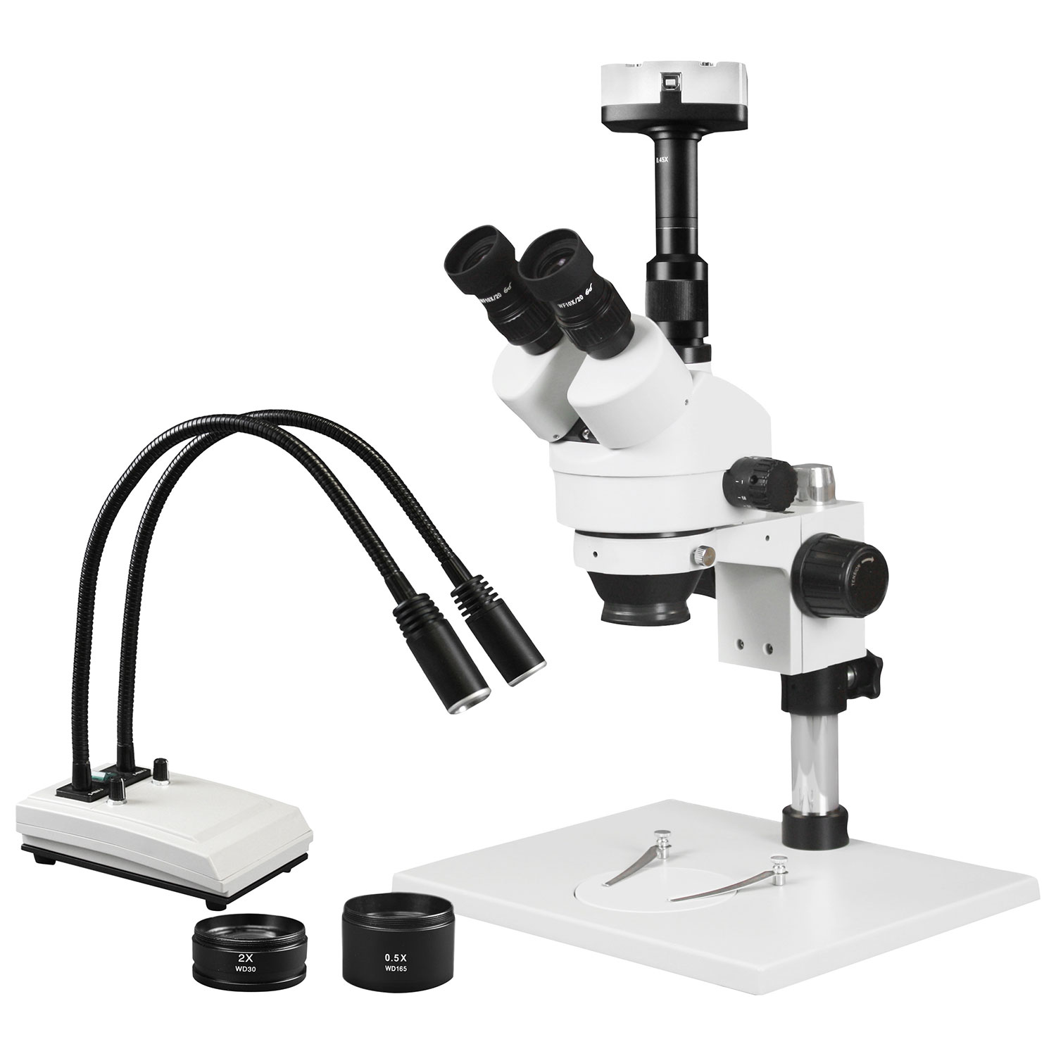 Microscope trinoculaire stéréo 3,5x à 90x/éclairage double DEL de Walter Products