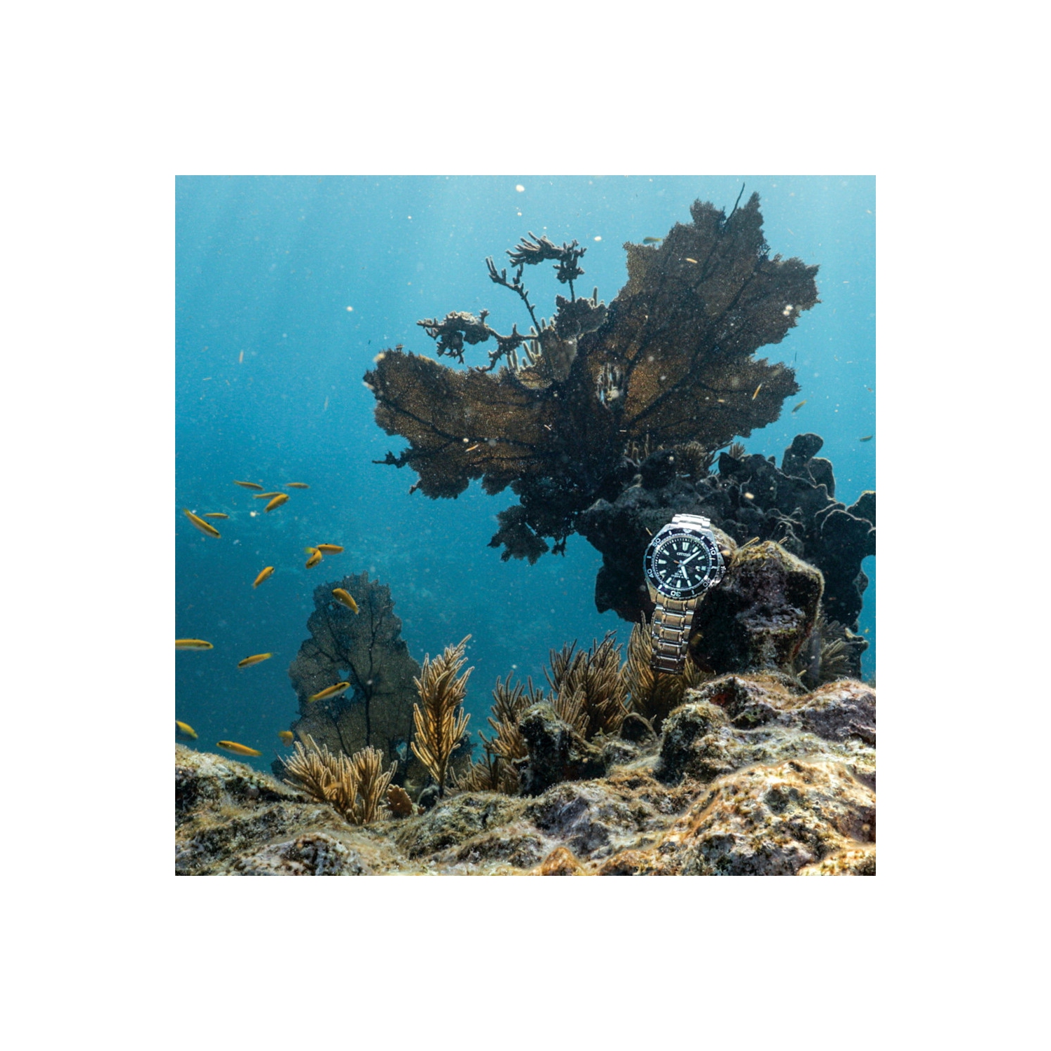 Citizen Mens Promaster Dive Eco-Drive Watch 45mm Silver-Tone Stainless Steel Case and Bracelet with Blue Dial