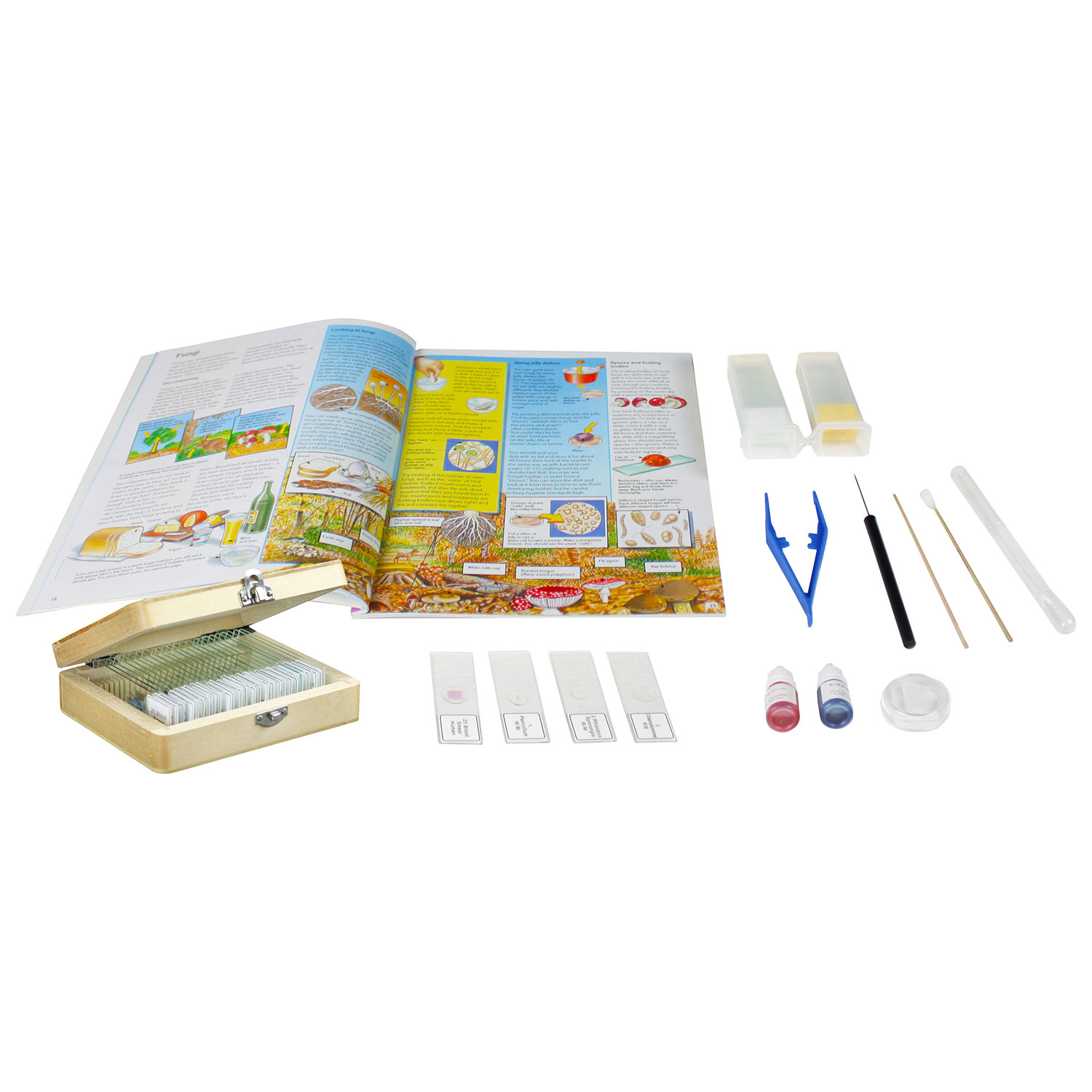 Microscope composé monoculaire à DEL de Walter Products