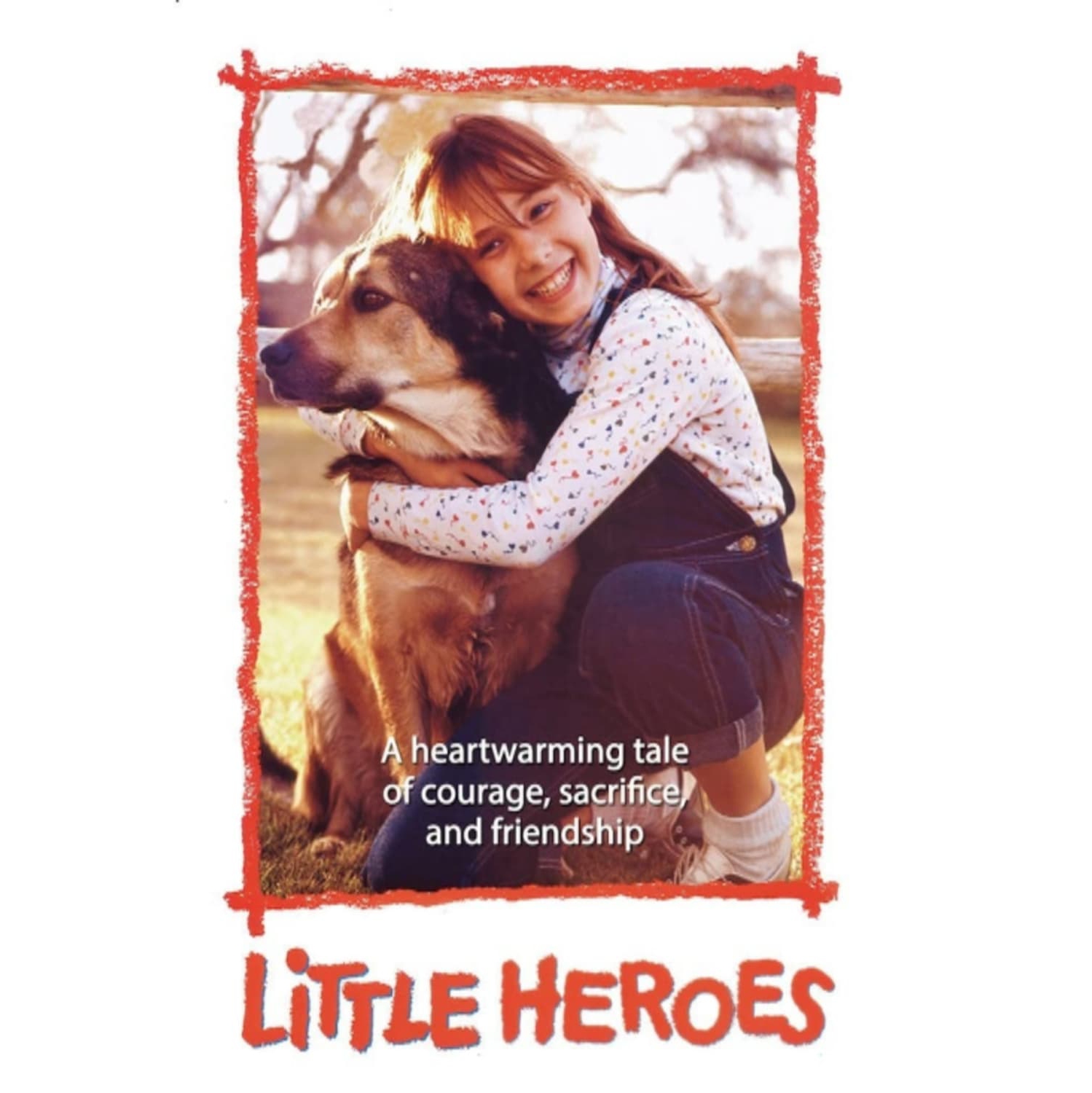 LITTLE HEROES(DVD)