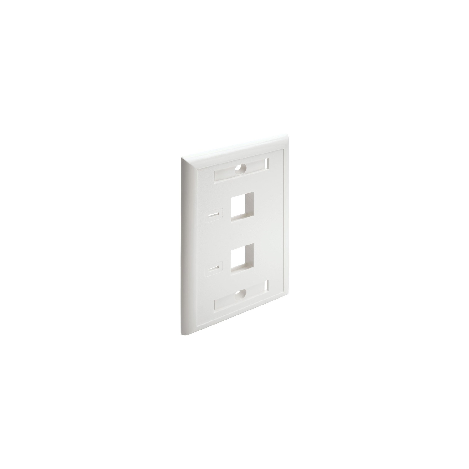 Tripp Lite Dual Outlet RJ45 Universal Keystone Face Plate / Wall Plate