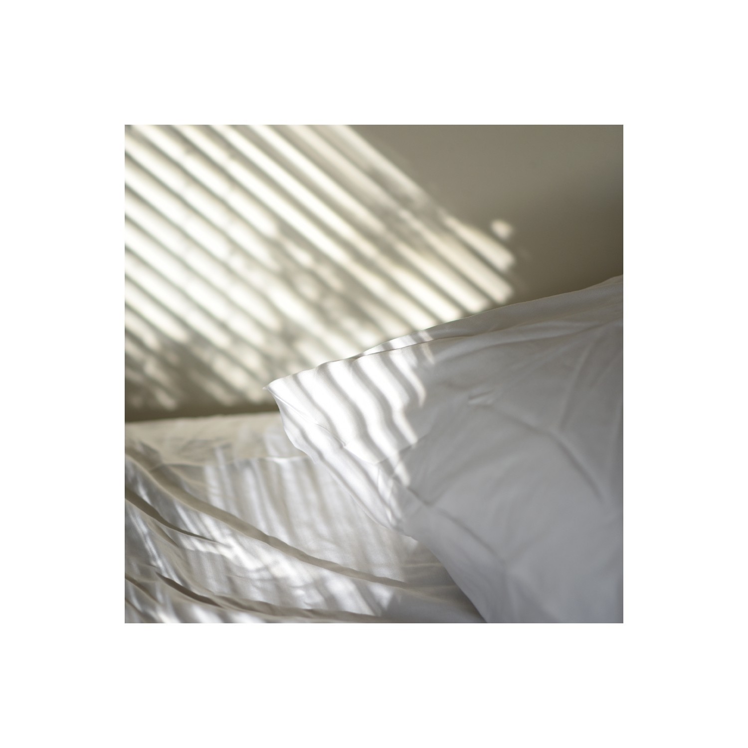 Organic Bamboo Pillow Cases by SHOO-FOO - 100% Bamboo - Collection Naturelle - 300 TC