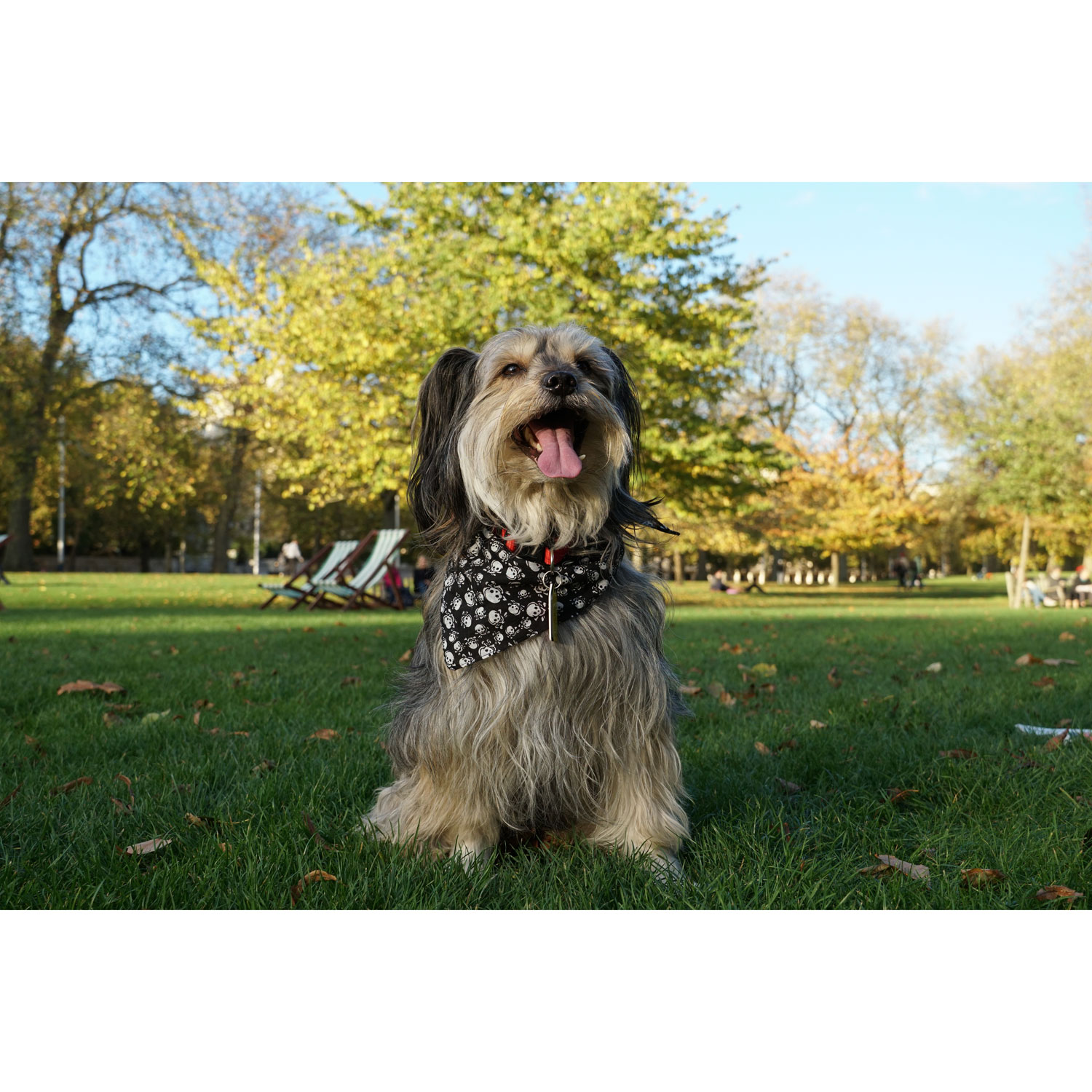 Sony E-Mount APS-C 18-135mm f/3.5-5.6 OSS Optical SteadyShot Wide Telephoto 7.5x Zoom Lens