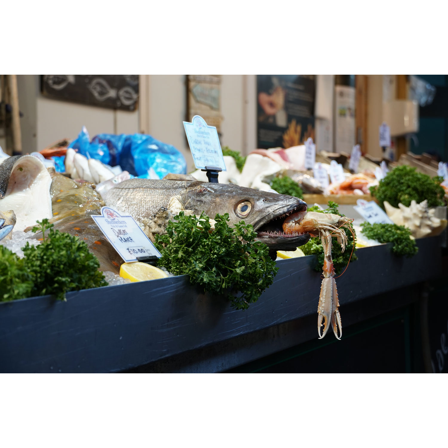 Sony E-Mount APS-C 18-135mm f/3.5-5.6 OSS Optical SteadyShot Wide Telephoto 7.5x Zoom Lens