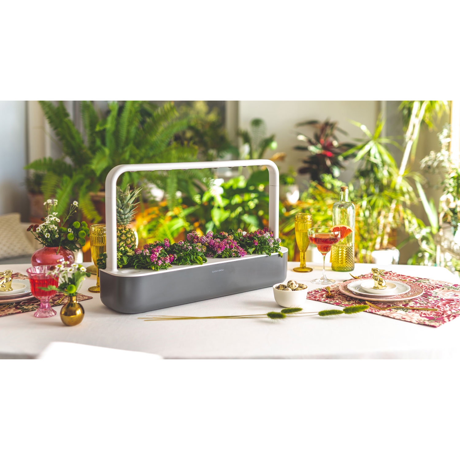 Click & Grow Smart Garden 9 - Grey
