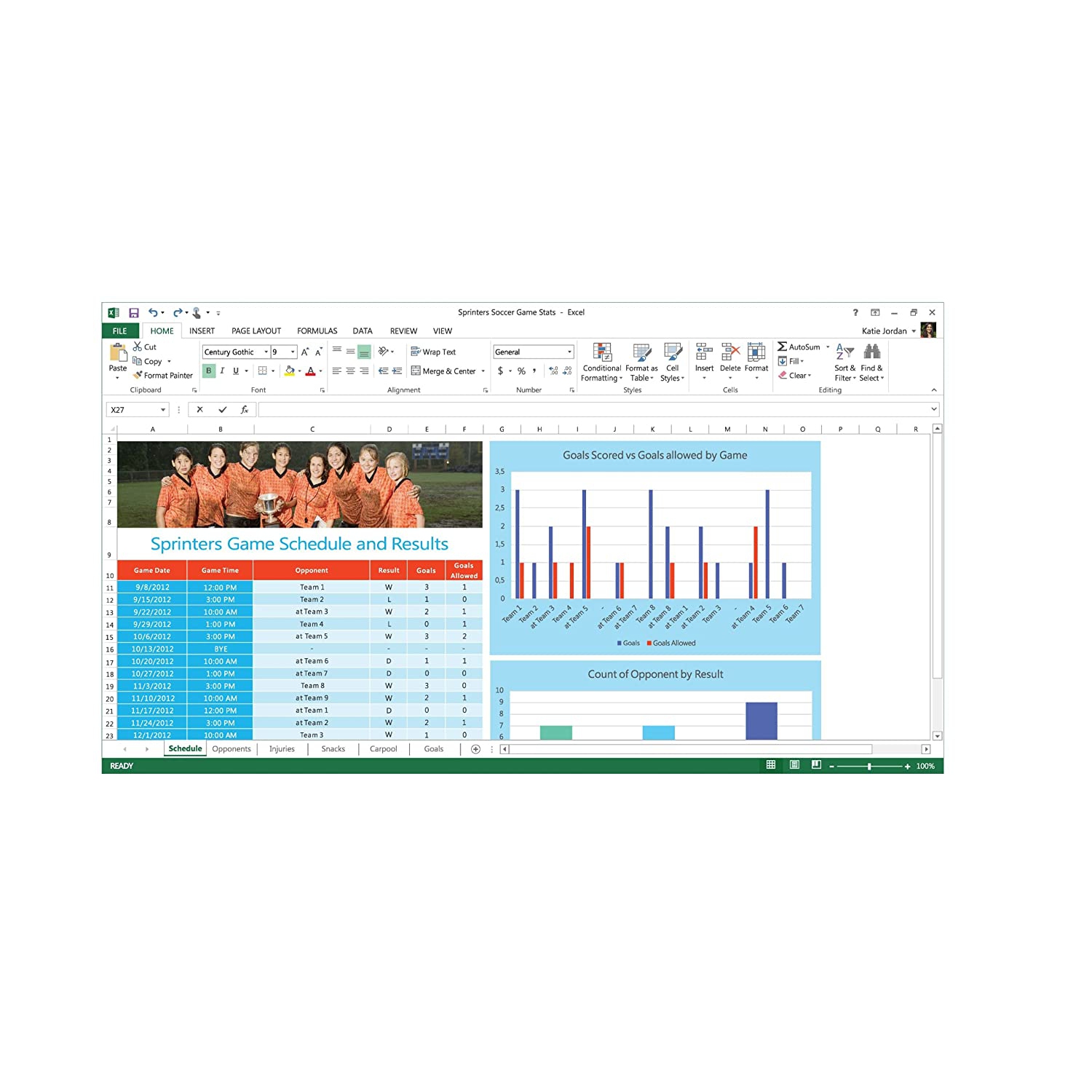 Microsoft Office 2013 Professional