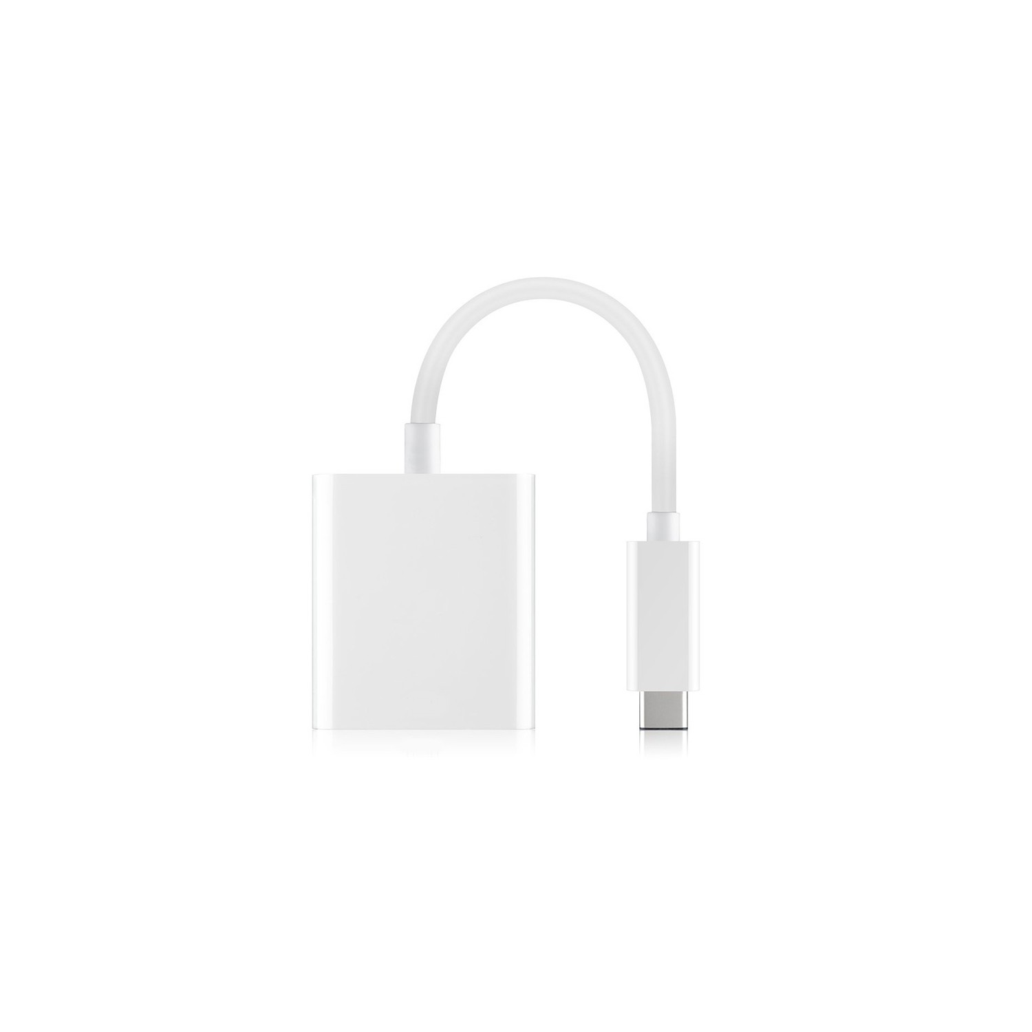 Adaptateur de câble USB-C à VGA USB-C 3.1 Video Converter d’axGear