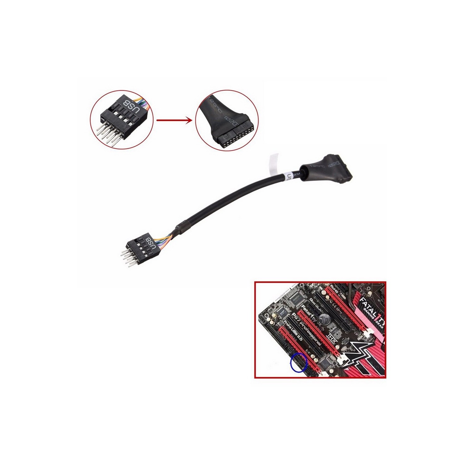 AXGEAR – Câble adaptateur convertisseur USB femelle 3.0 20 broches vers USB mâle 2.0 9 broches