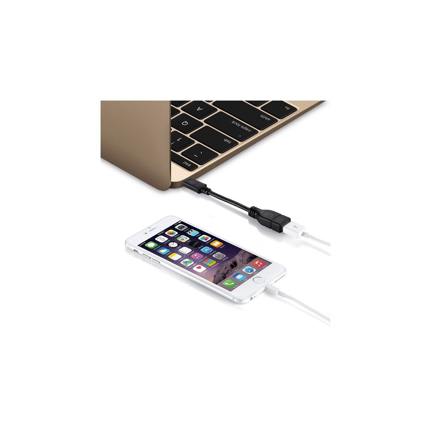 Adaptateur USB 3.1 à USB 3.0 femelle OTG de axGear pour câble de recharge de données pour nouveau MacBook USBC
