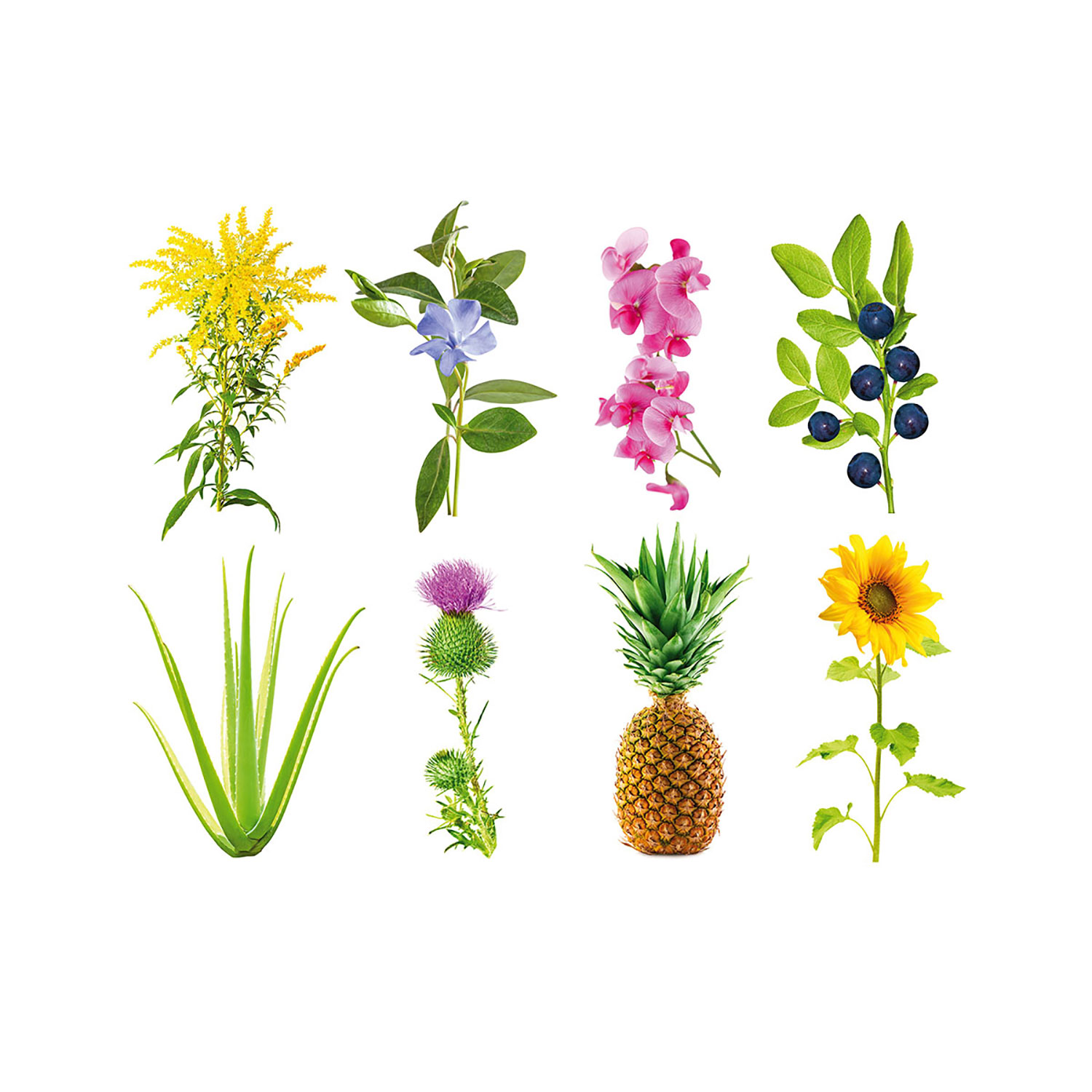 Click & Grow Smart Soil Refill - 3 Pack