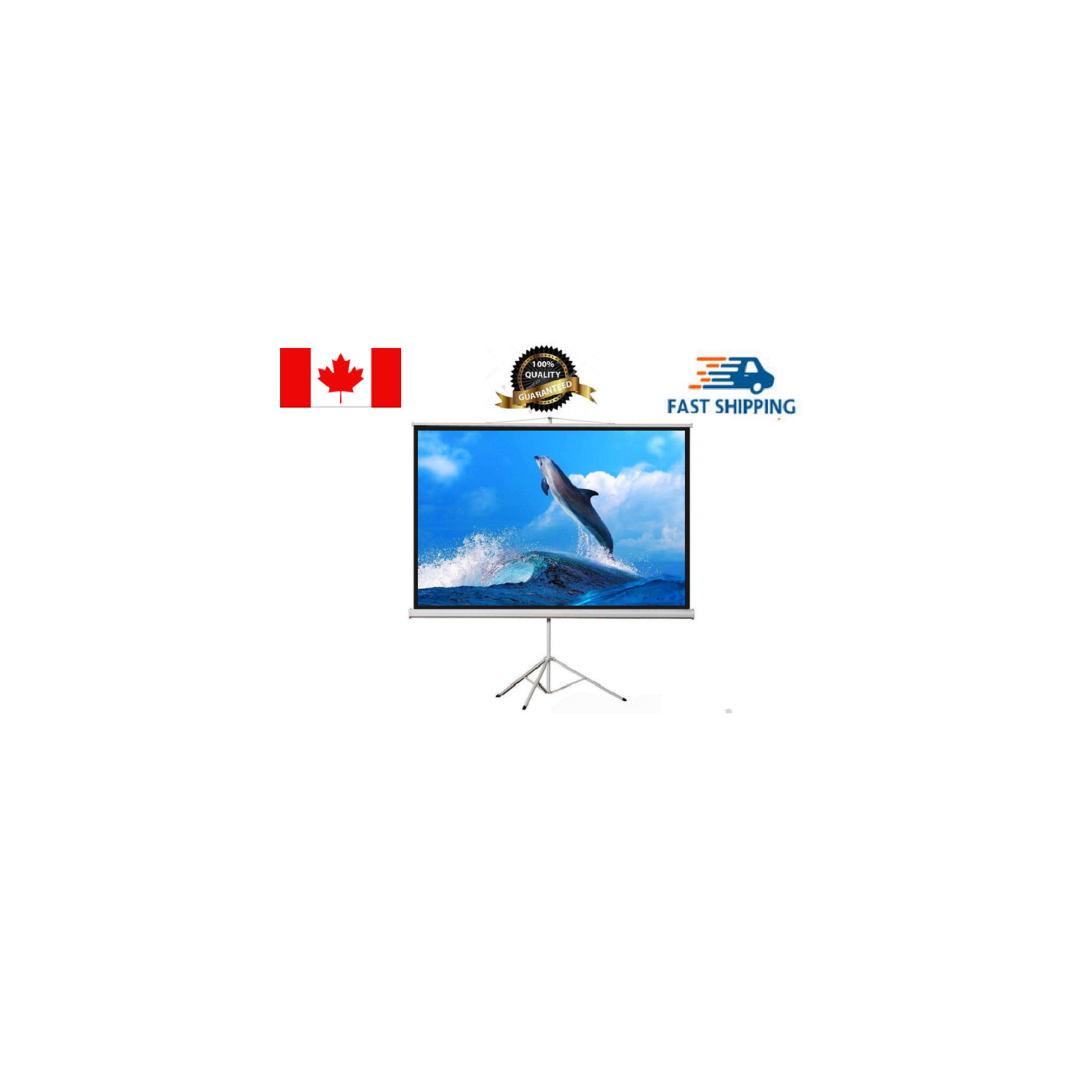 Écran de projection portatif eGalaxy avec trépied 120&nbsp;po, PST120&nbsp;A